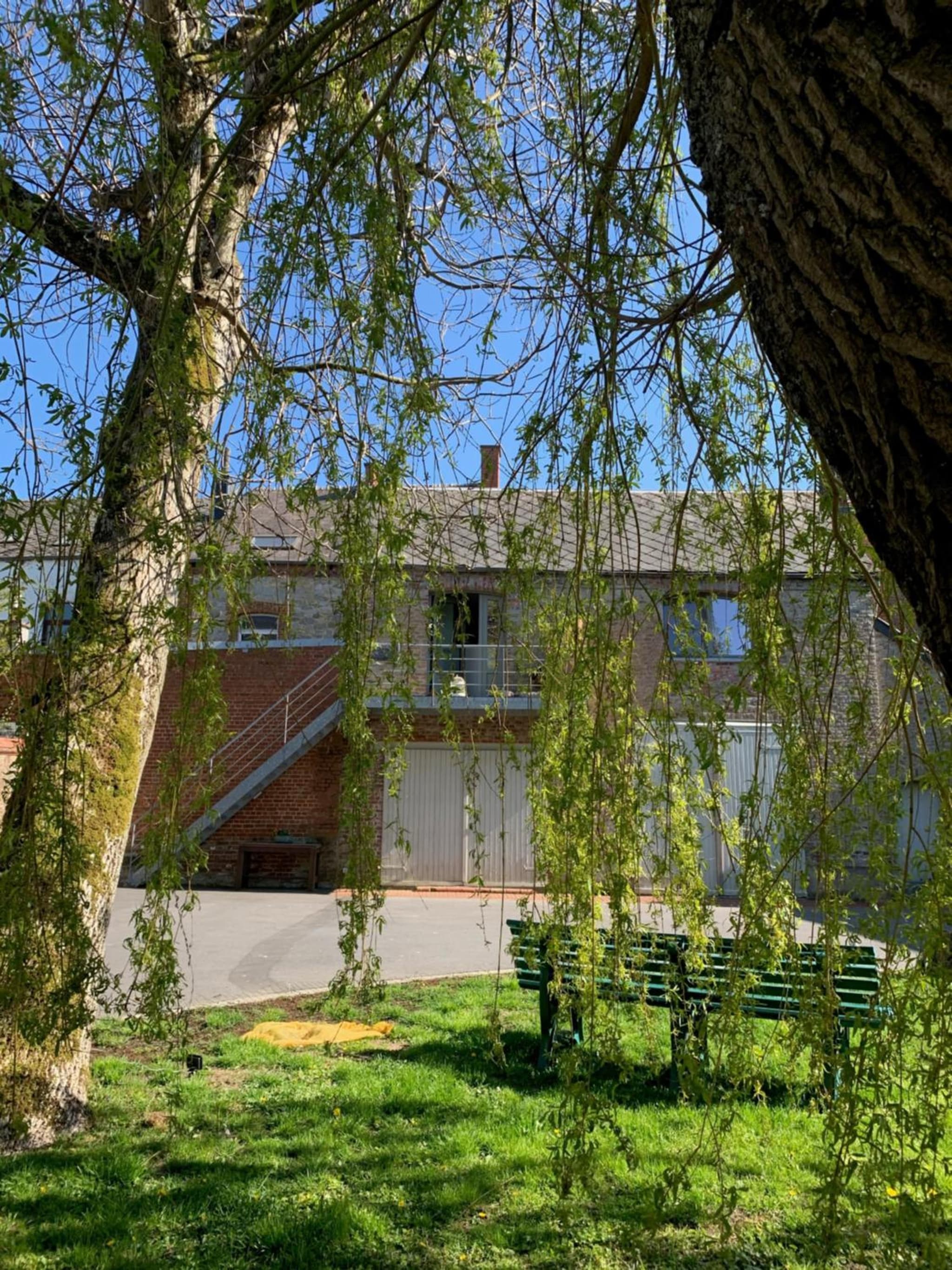 Au petit nid Froissart photo 3