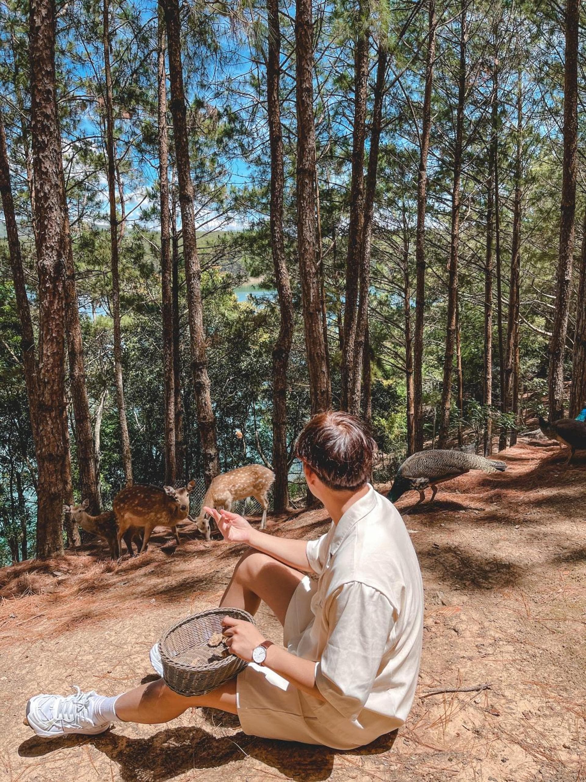 Dalat Edensee Lake Resort & Spa photo 9