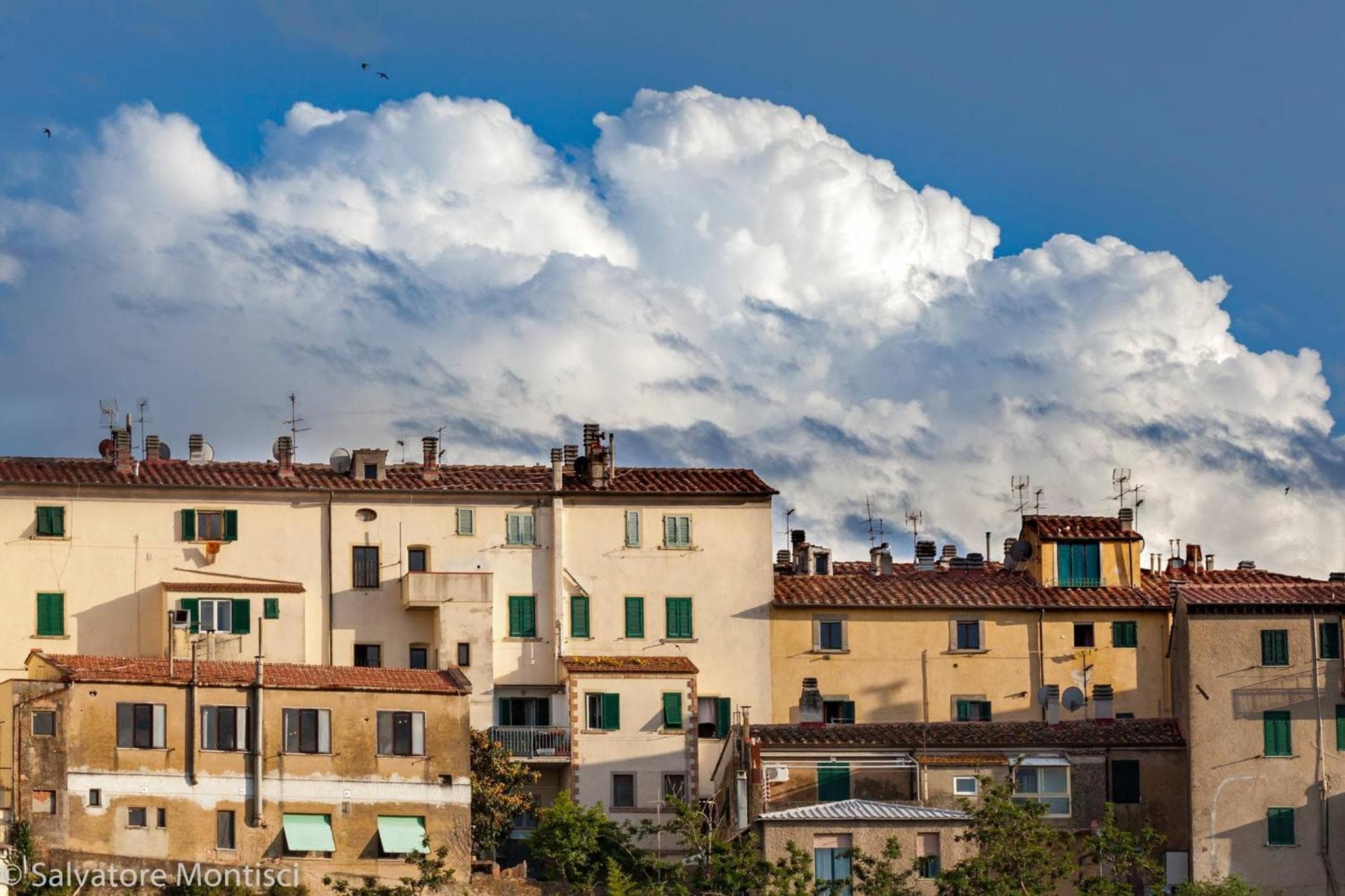 Grazioso bilocale ideale per due persone photo 3