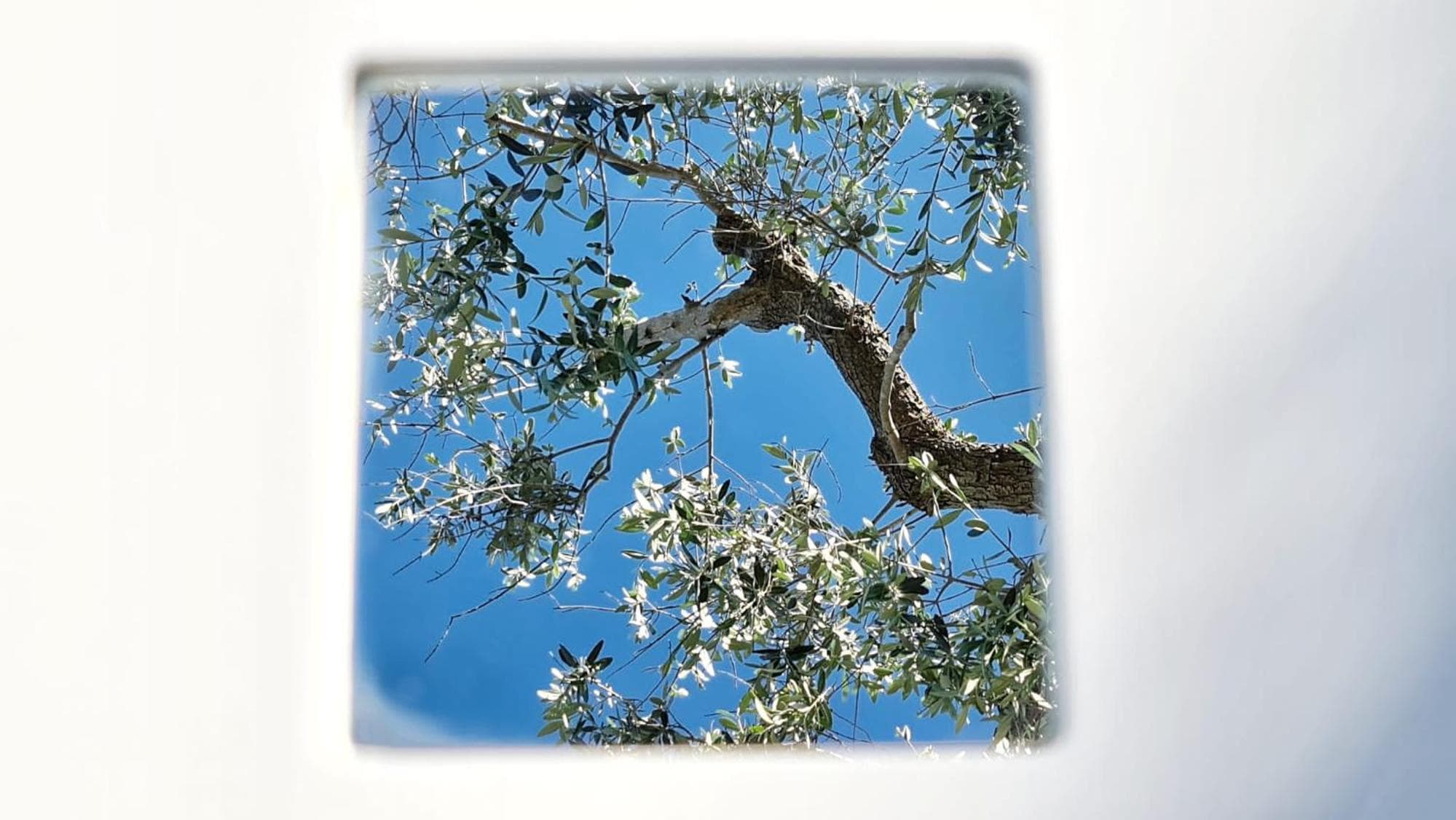 Pietrefitte photo 7
