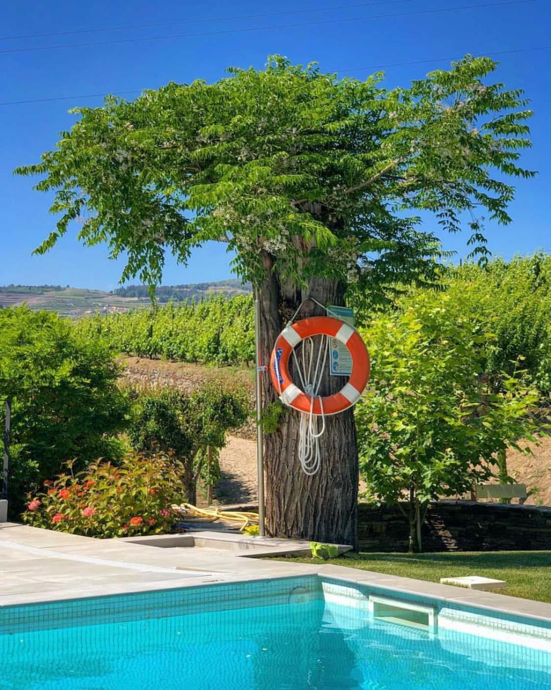 Quinta da Salada - Turismo Rural photo 7