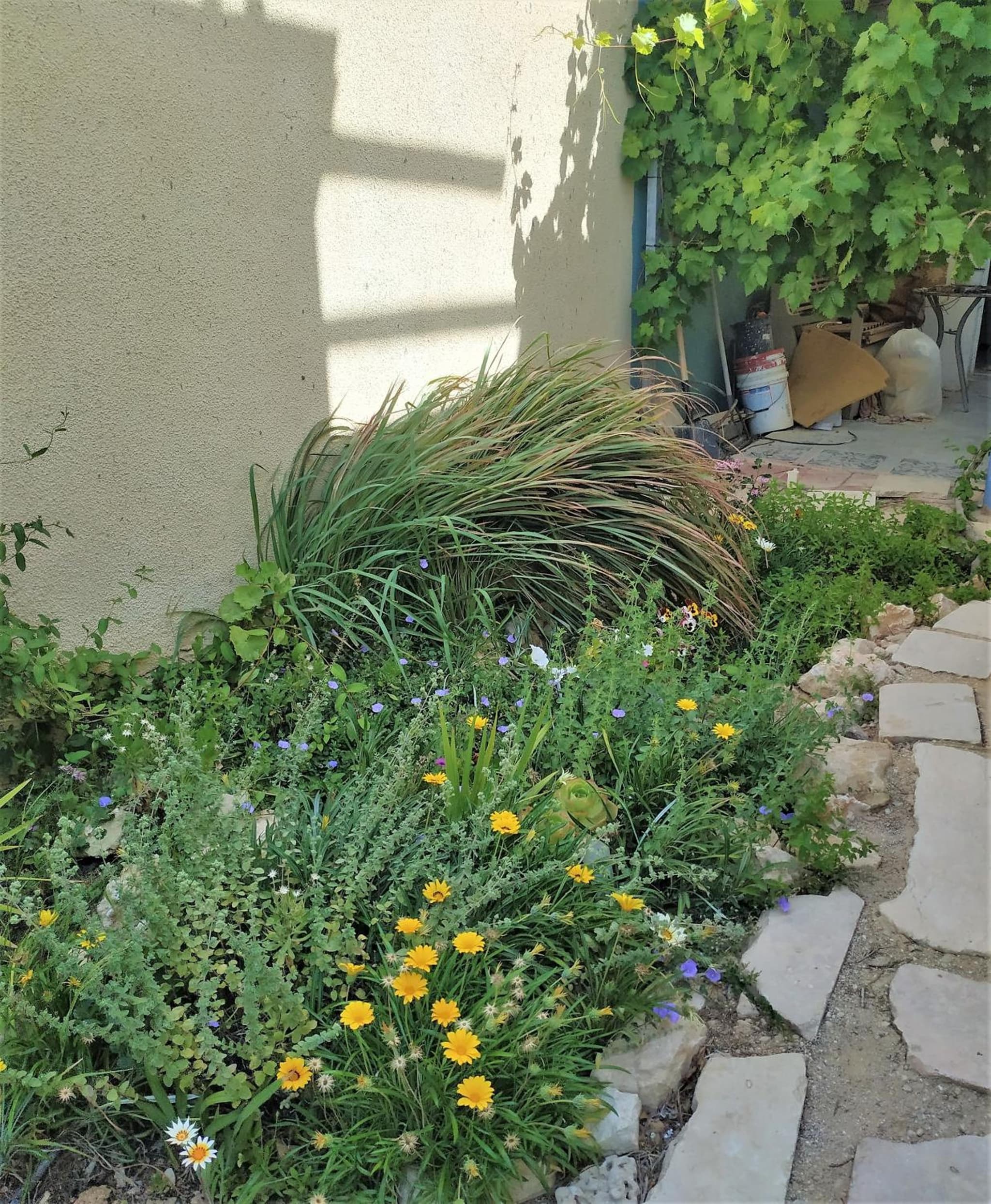 Glezant photo 5