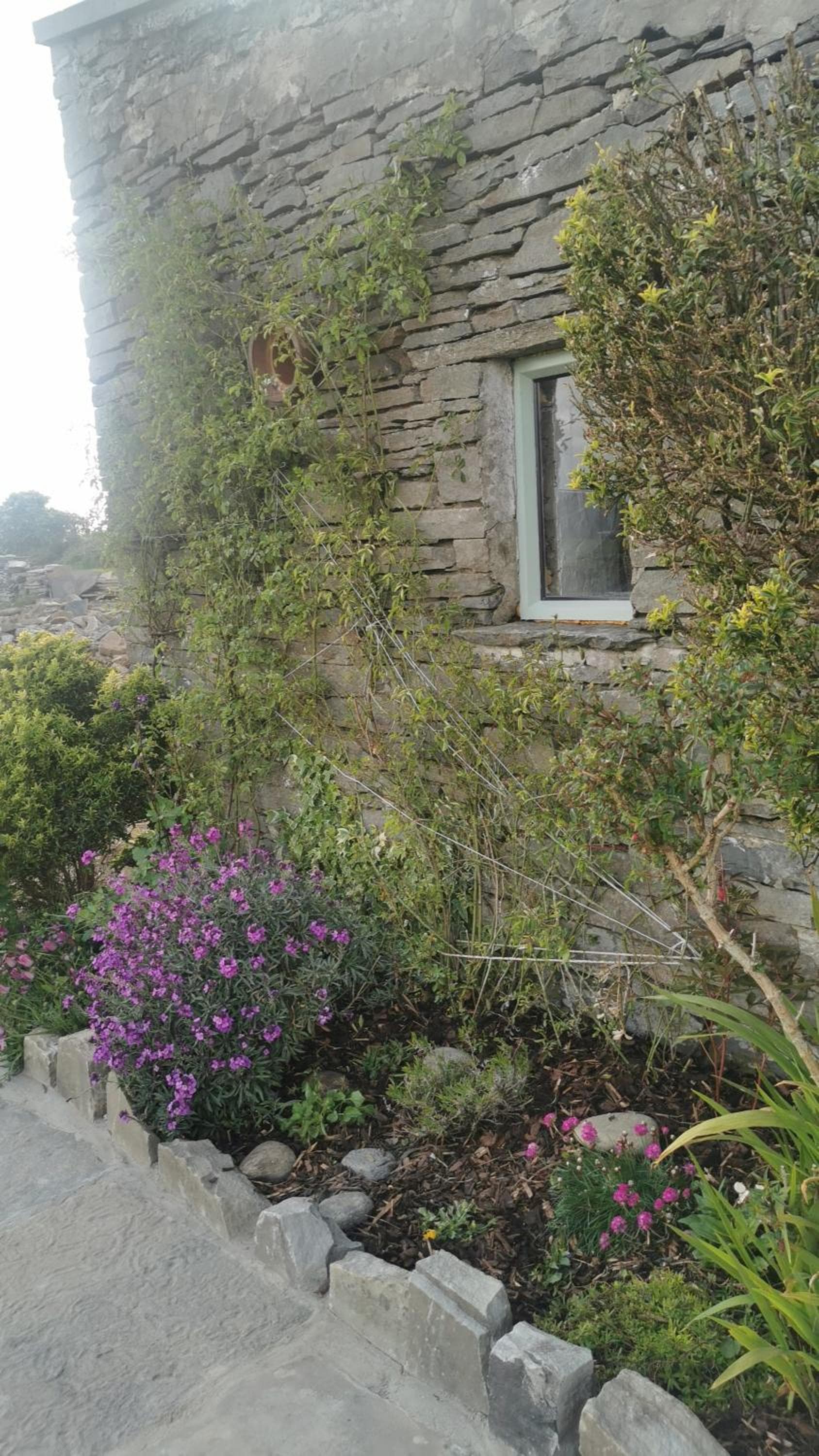 Rose Meadow Cottage photo 8