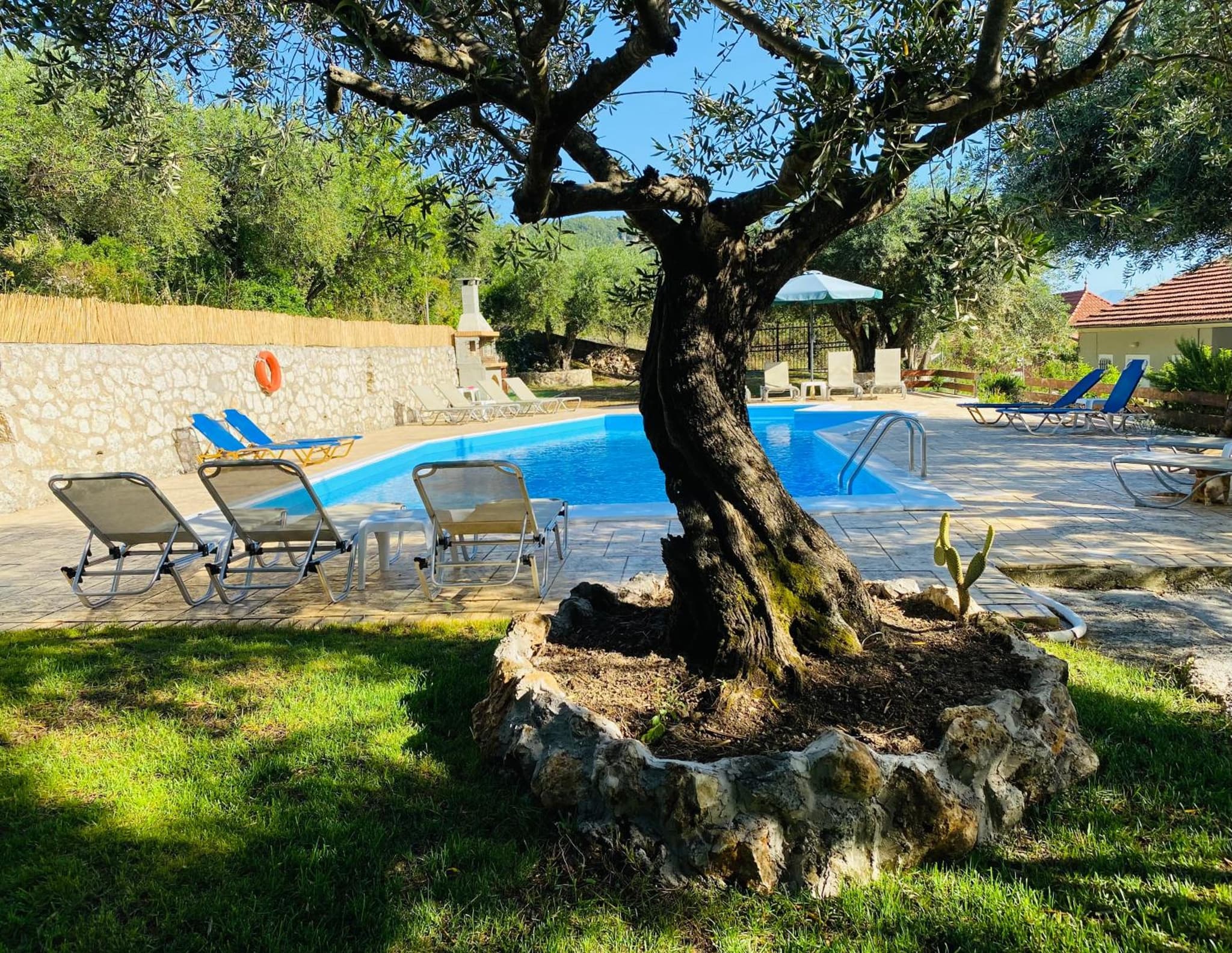 Olive Grove Poolside Apartments photo 8