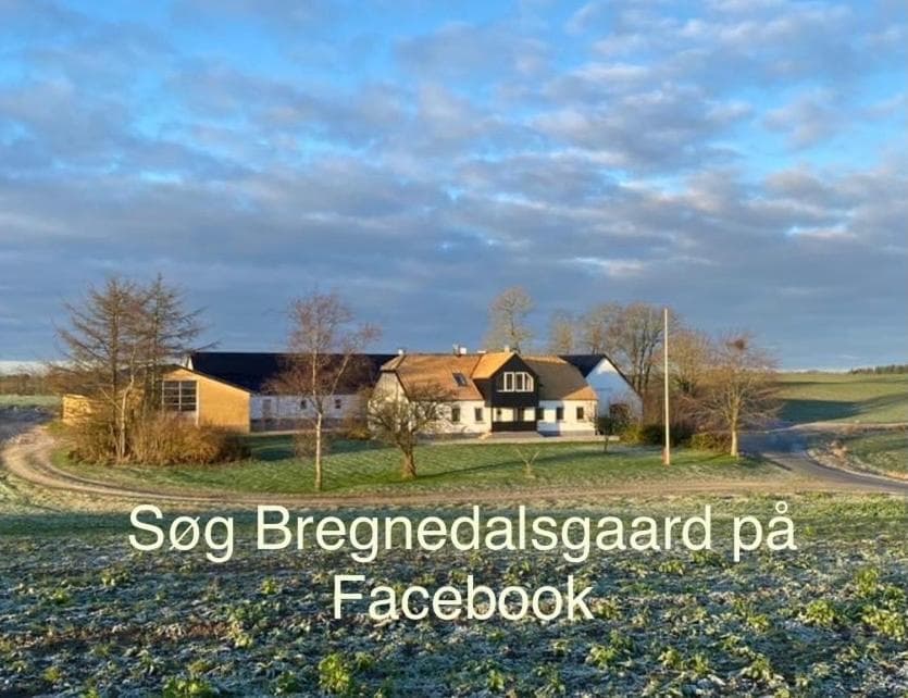 Bregnedalsgaard Bondegårdsferie photo 5