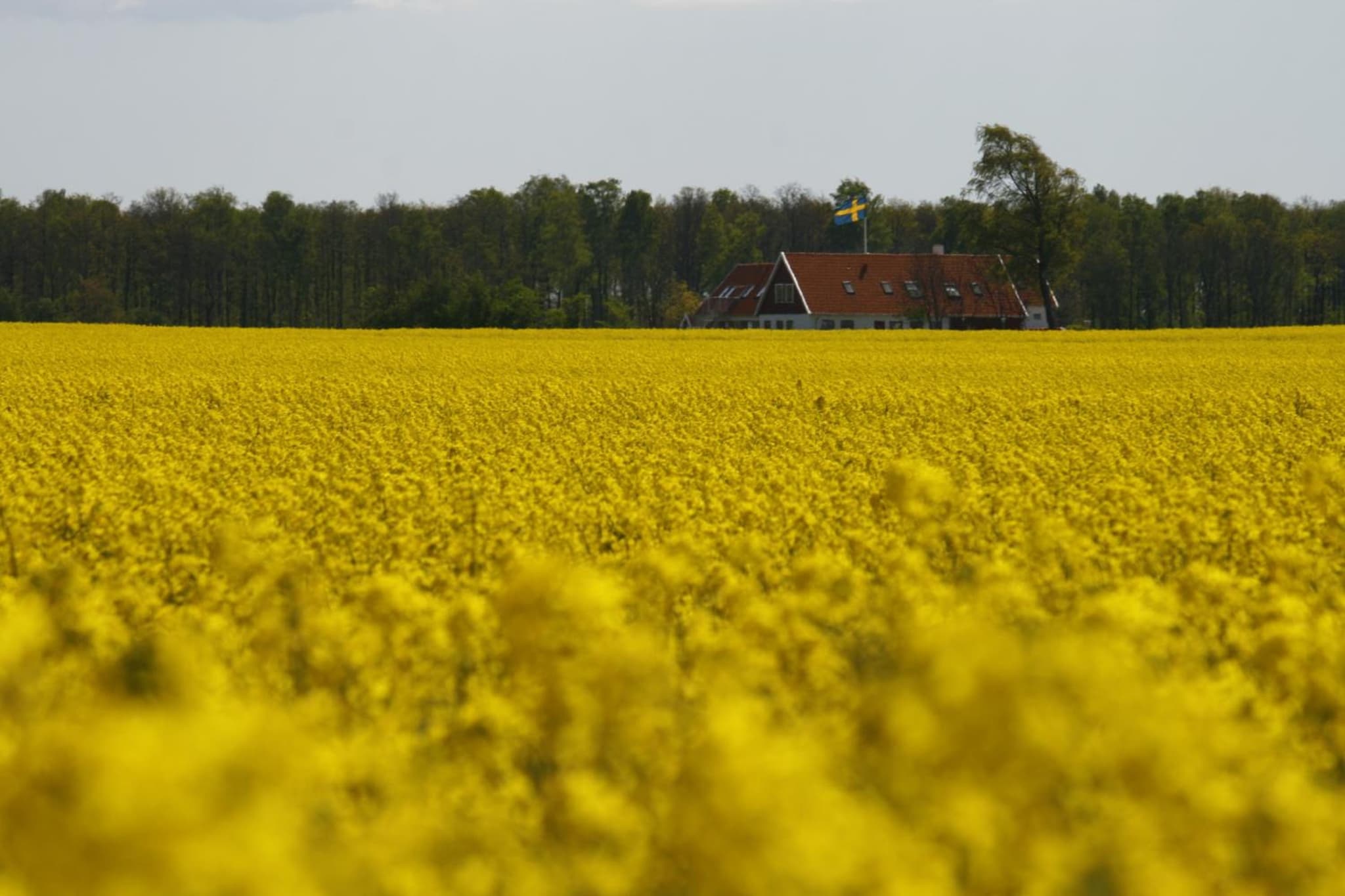 Hobykrok B&B photo 6