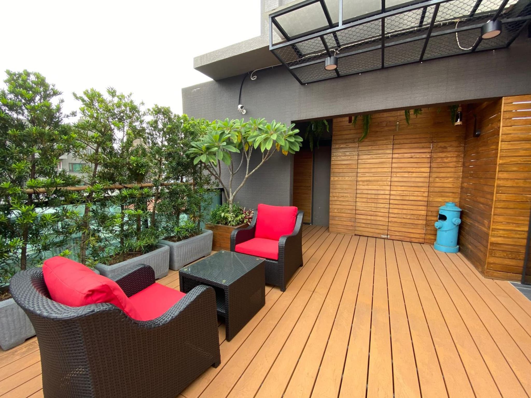 Royal Rose Hotel Xinsheng photo 4