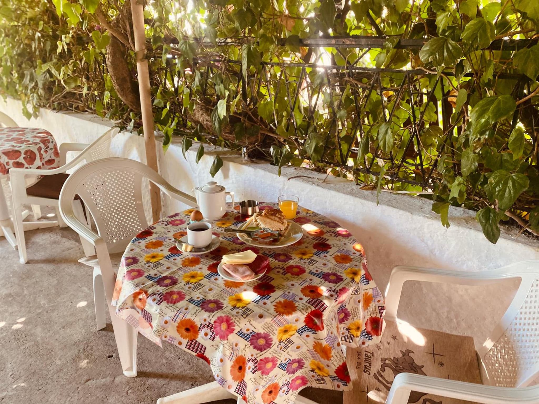 Afroditi Pension photo 9