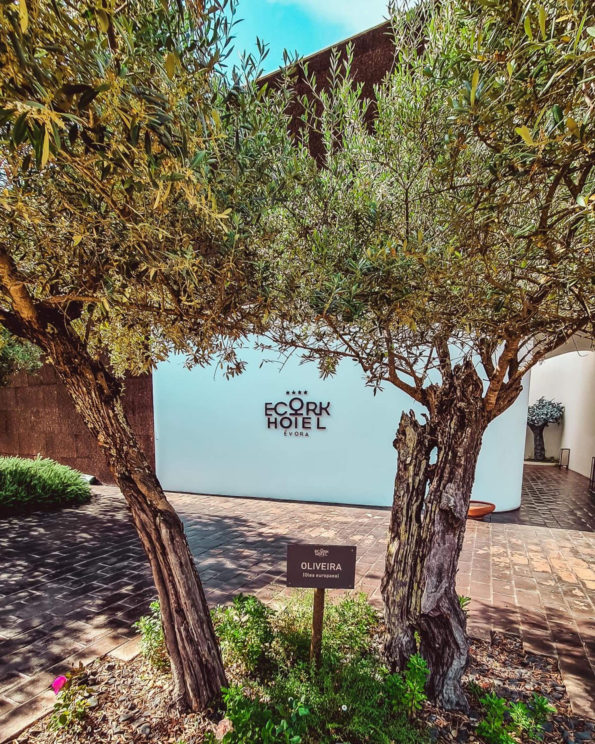 The Lince Ecorkhotel Évora photo 2