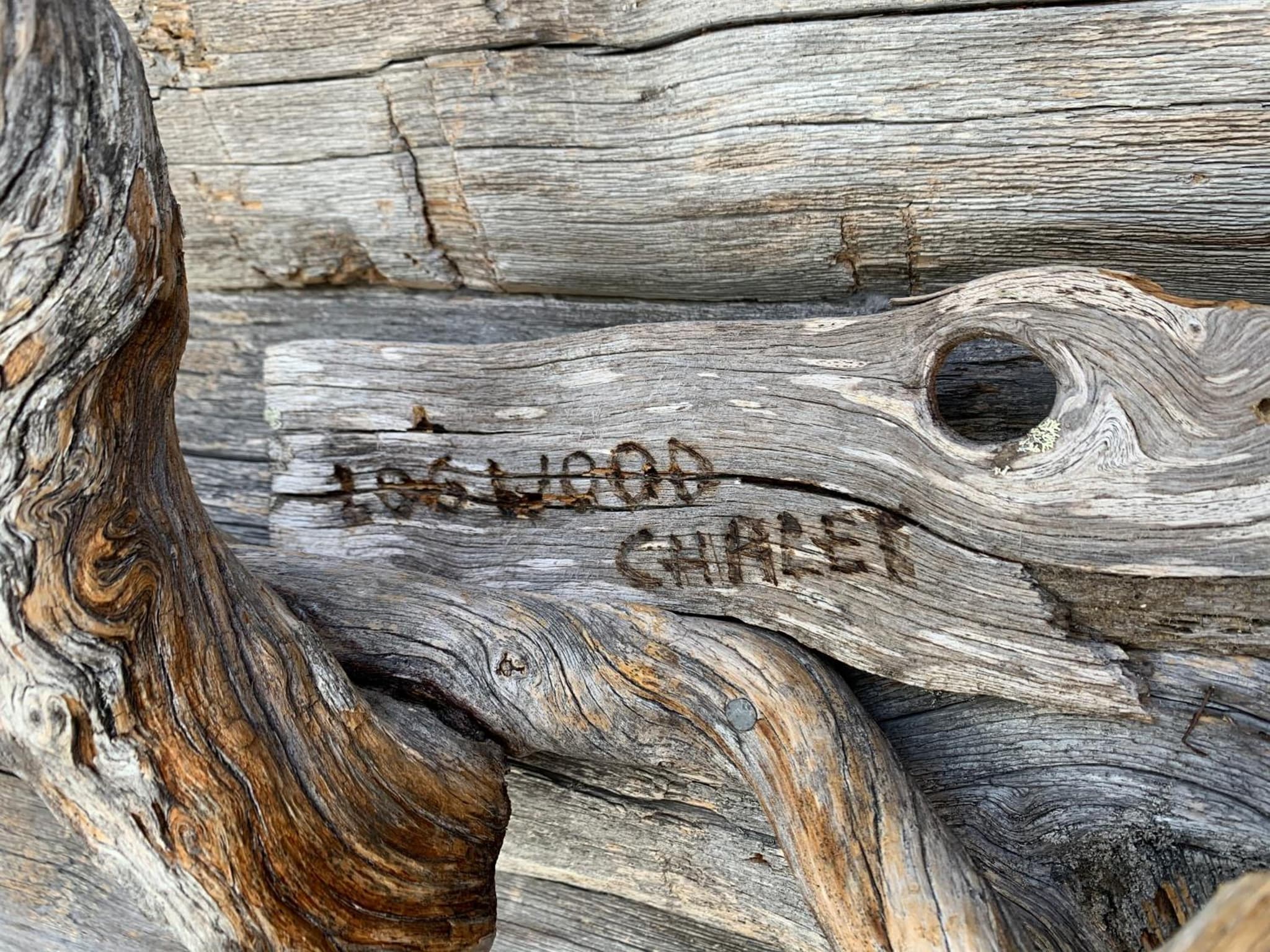 Logwood Chalet photo 7