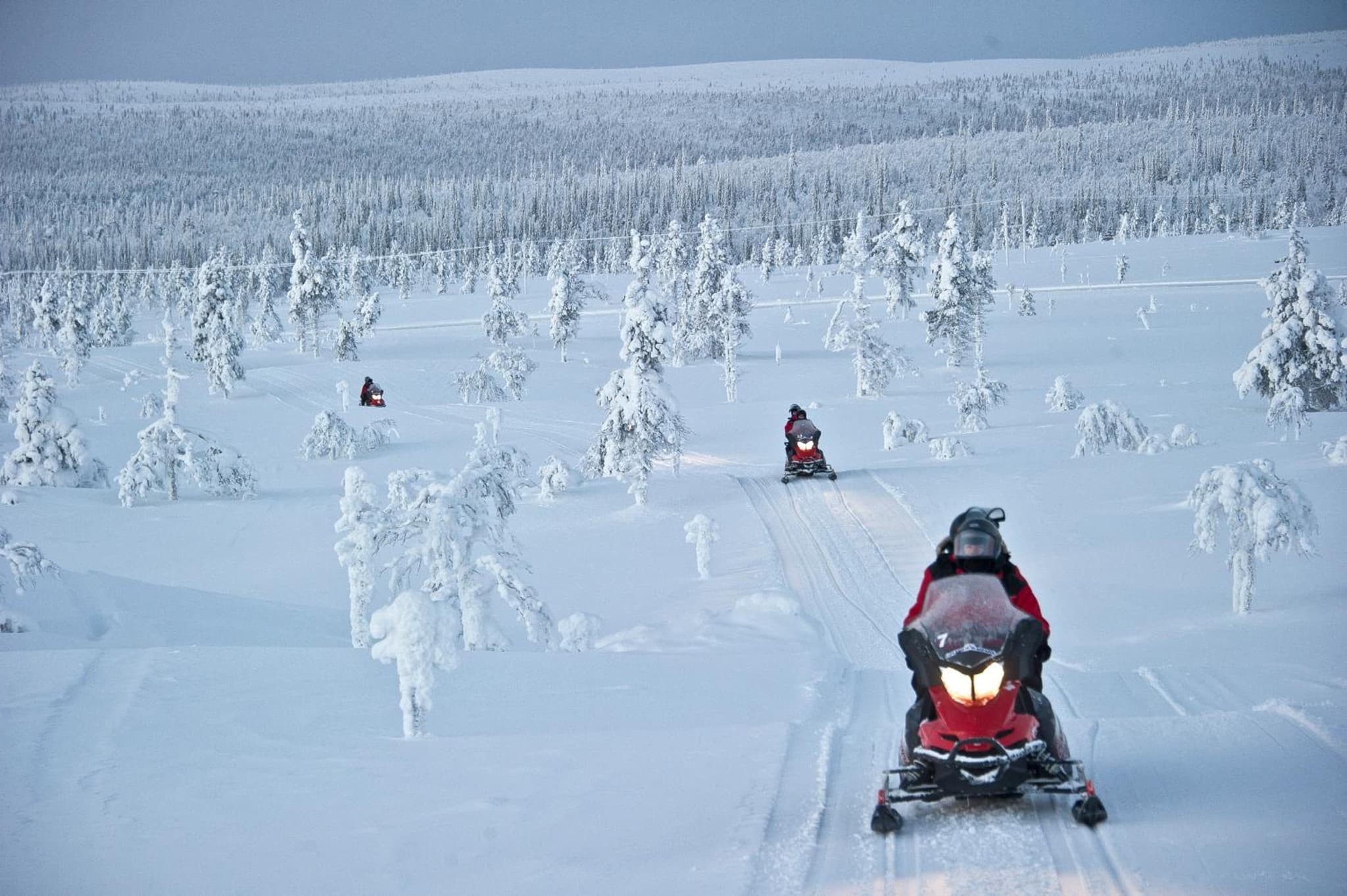 Kakslauttanen Arctic Resort - Igloos and Chalets photo 3