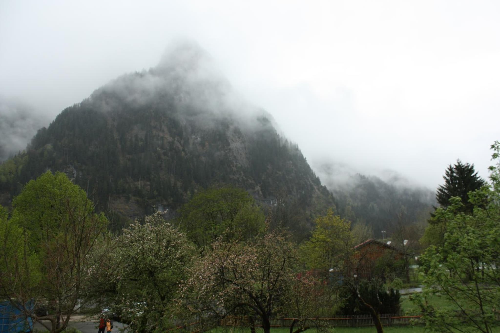 Das Posch Hotel photo 3