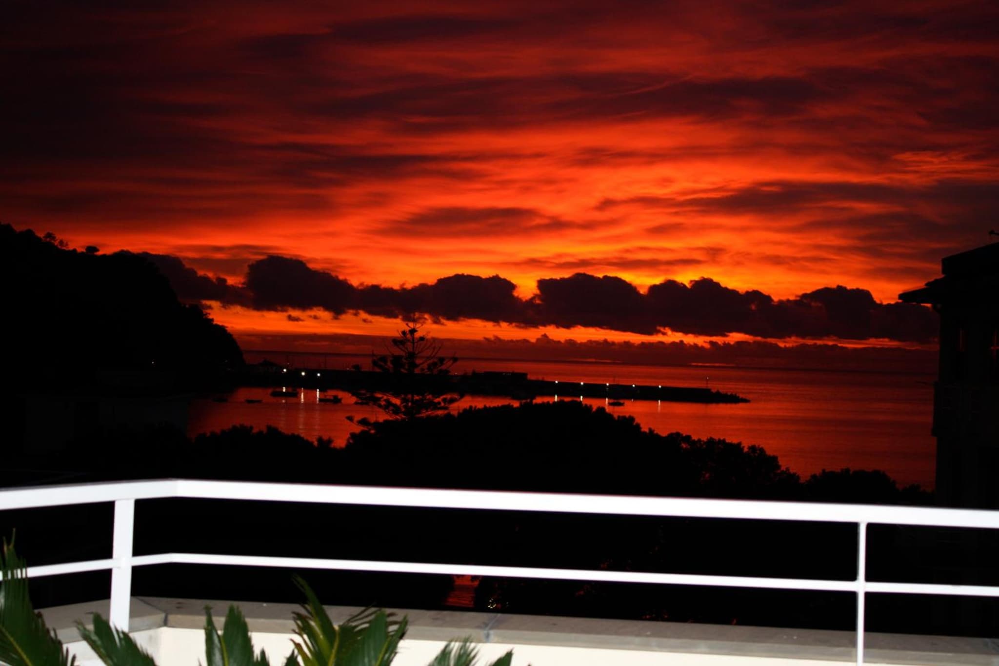 Hotel Genova photo 4