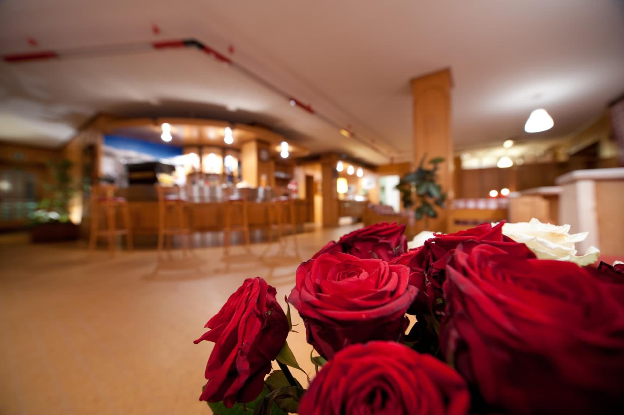 Hotel Teola photo 9