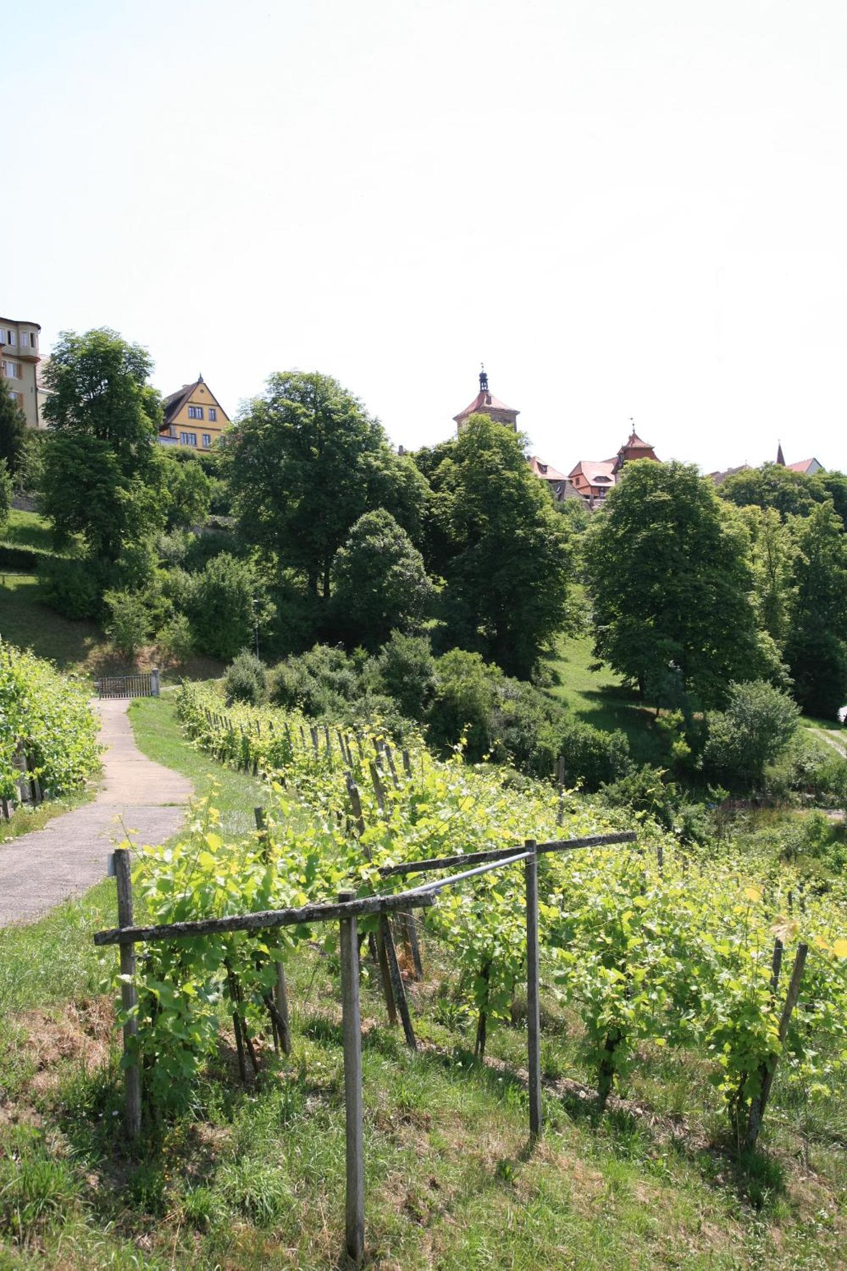 Glocke Weingut und Hotel photo 7