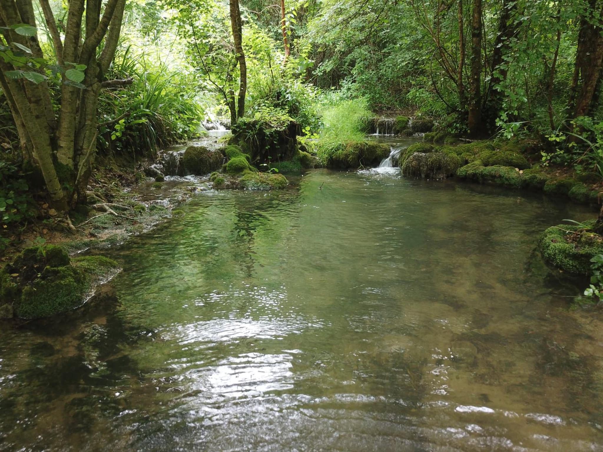 Moulin Bas, Prés de la Rivière photo 6