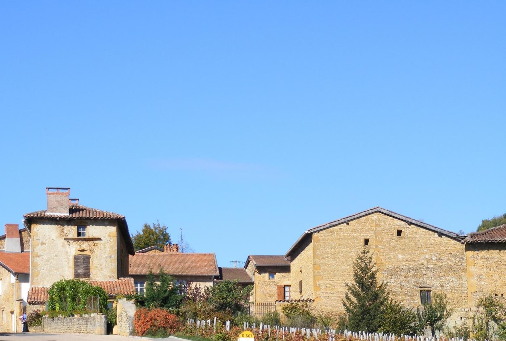 Domaine des Aloets photo 4