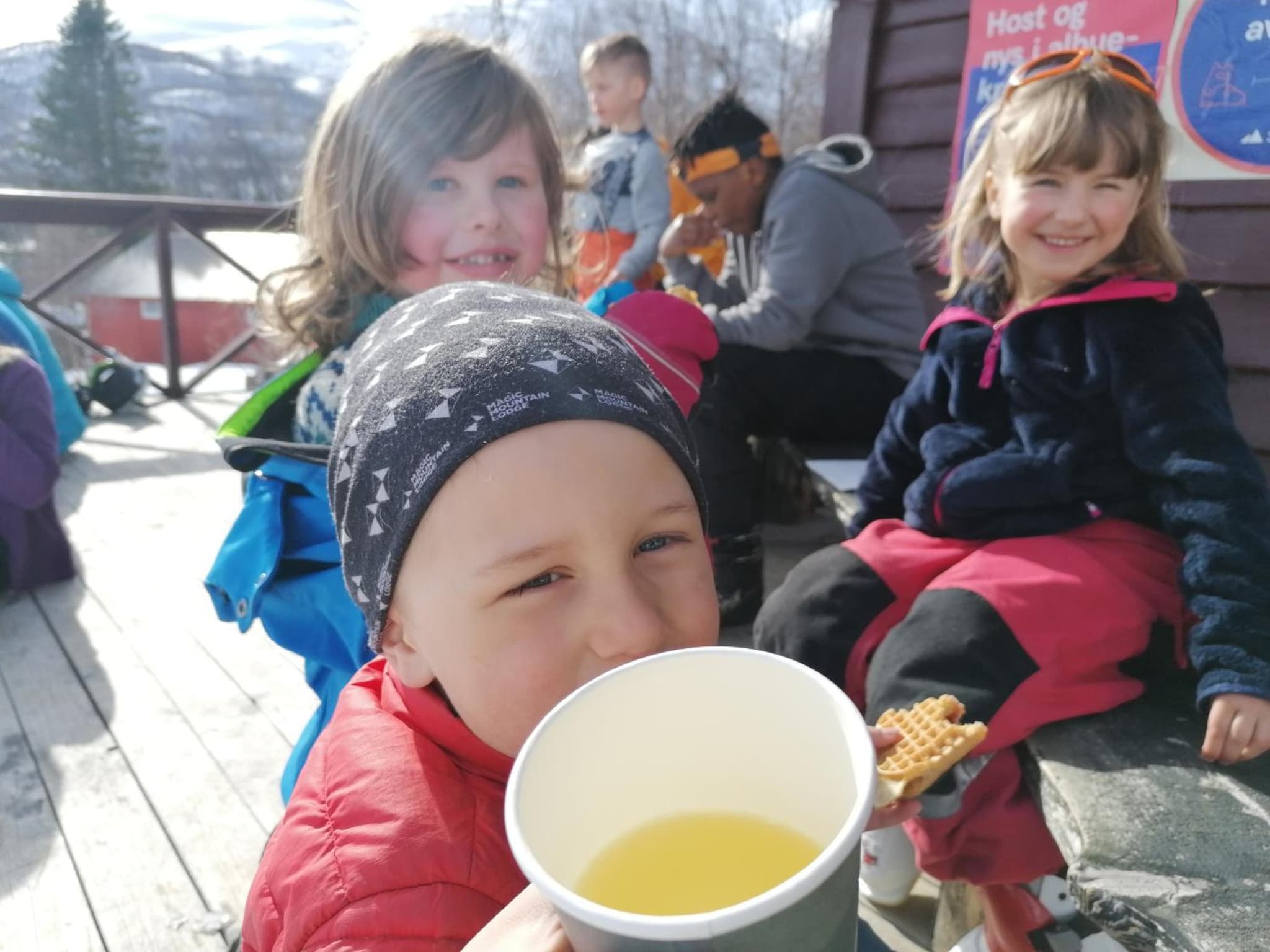 Magic Mountain Lodge - Lyngen photo 3