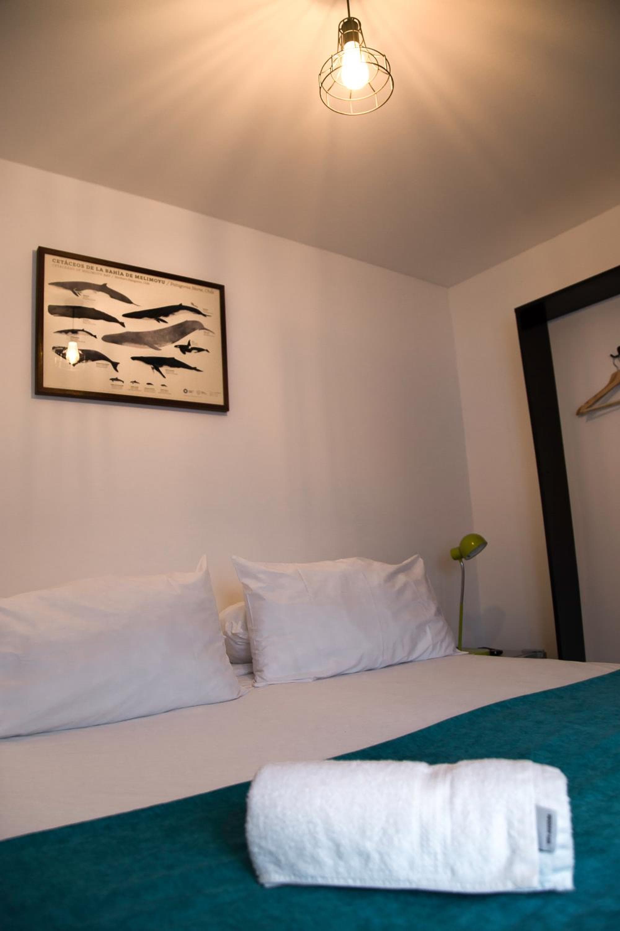 HOSTAL BOUTIQUE TERRA ANTARCTICA photo 7