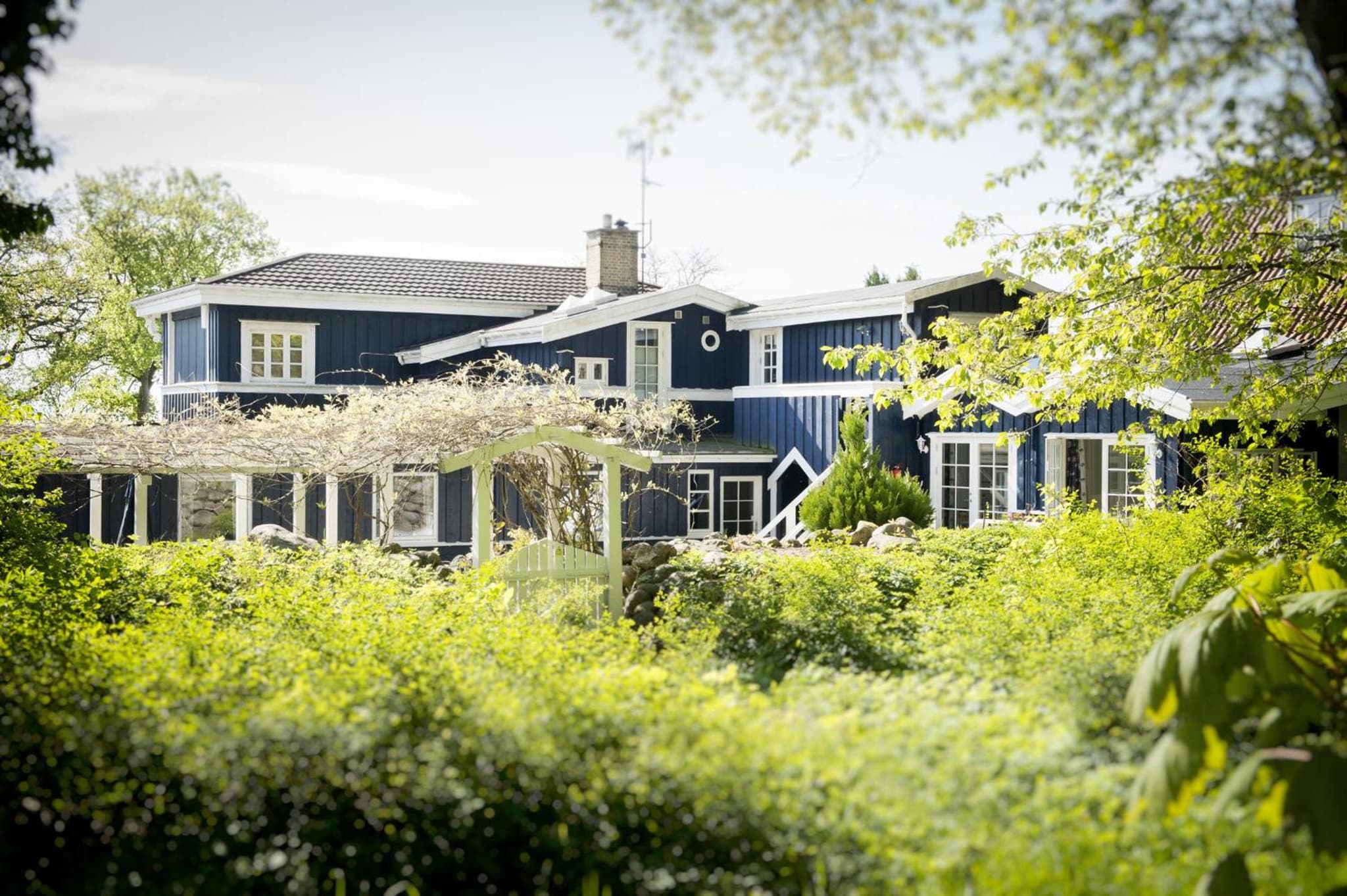 Hotel Villa Brinkly photo 3