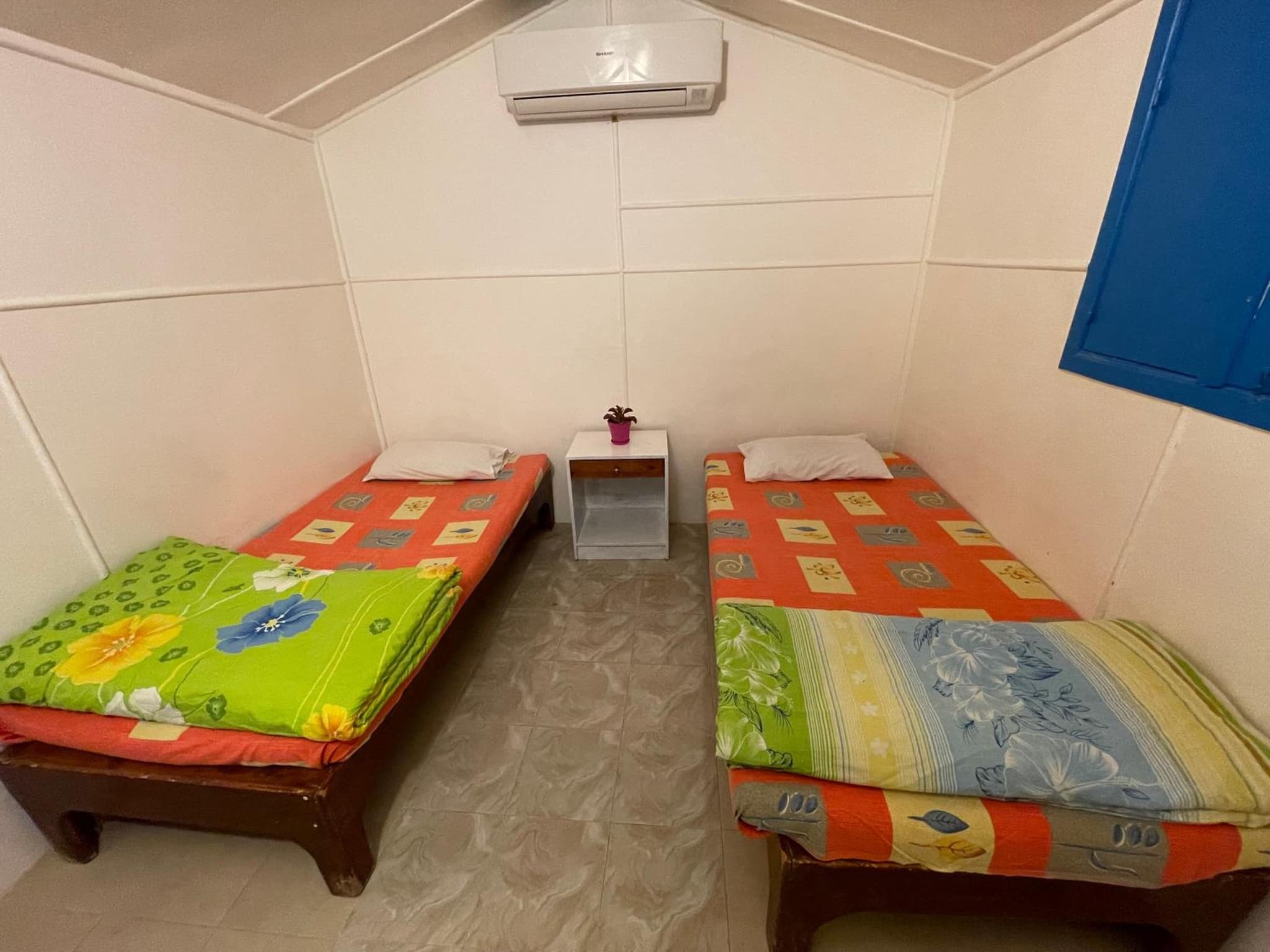 Dolphin Camp photo 7
