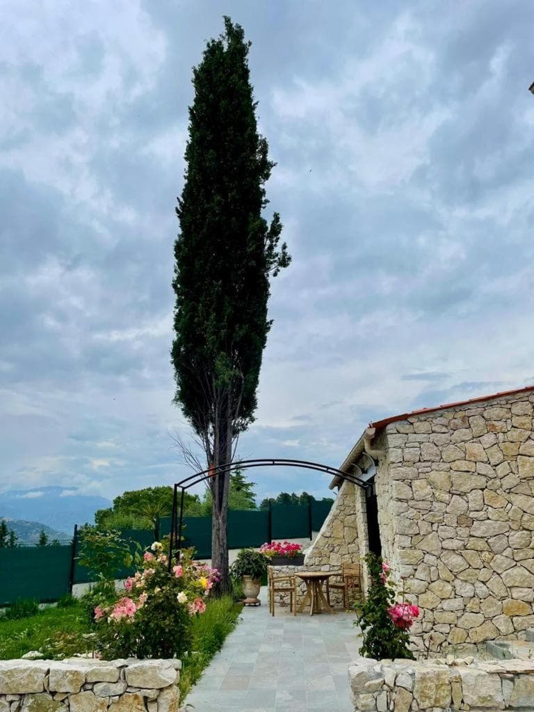 Escondida photo 2