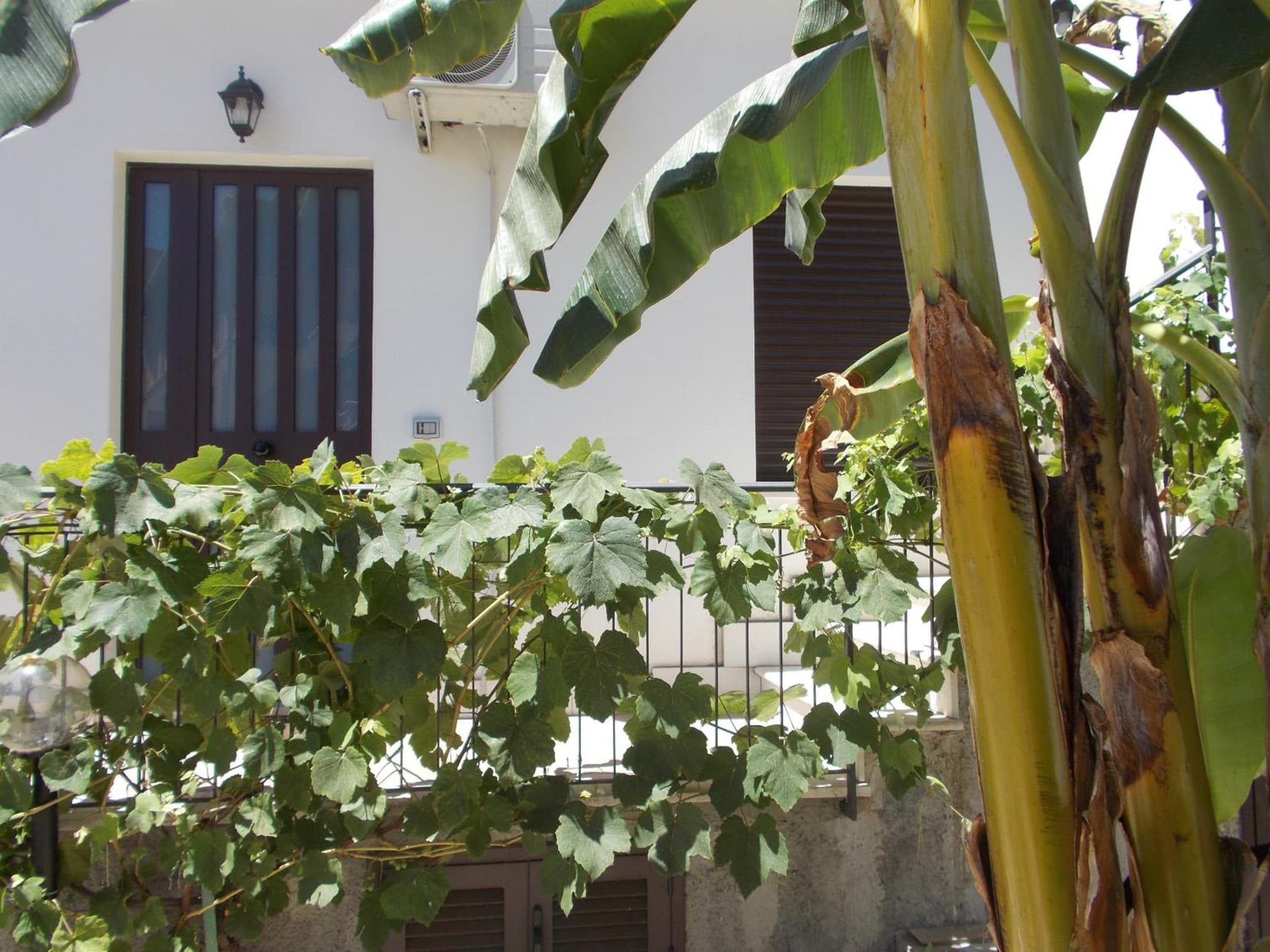 Villa Il Melograno photo 3