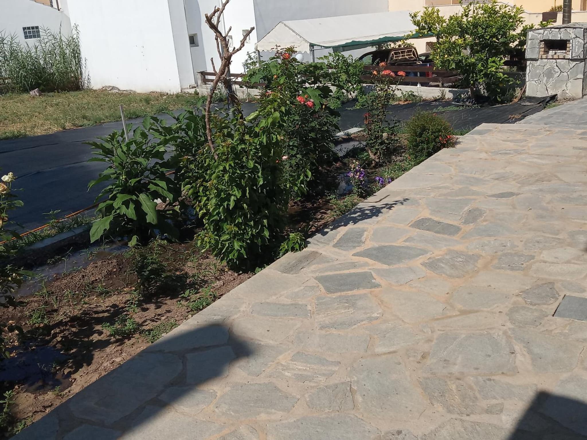Villa Pandora photo 9