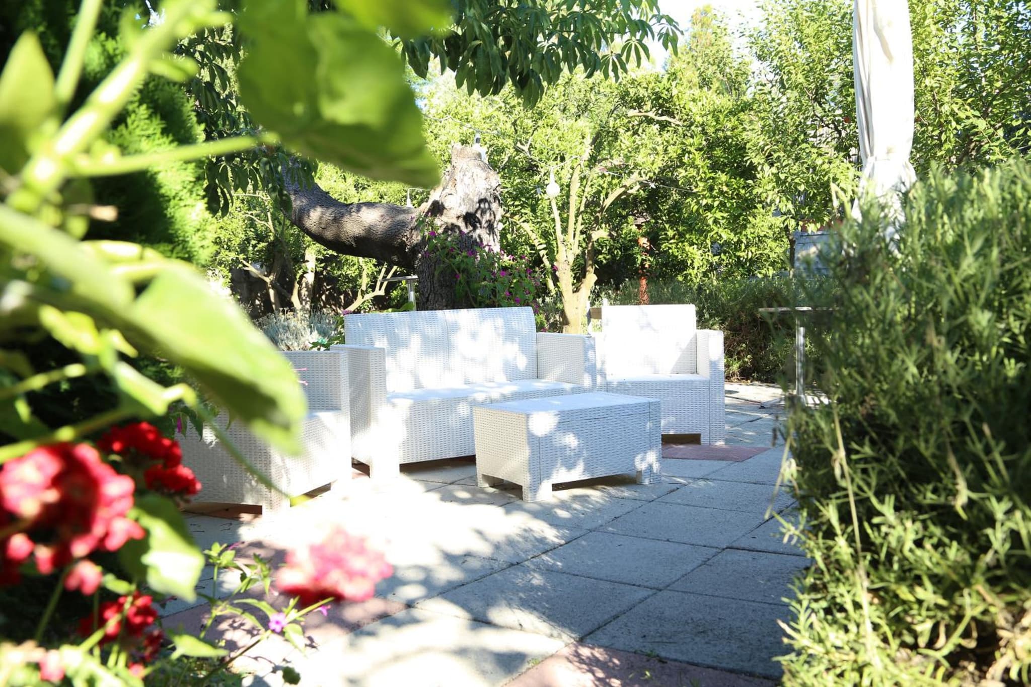B&B Villa Gemini photo 9