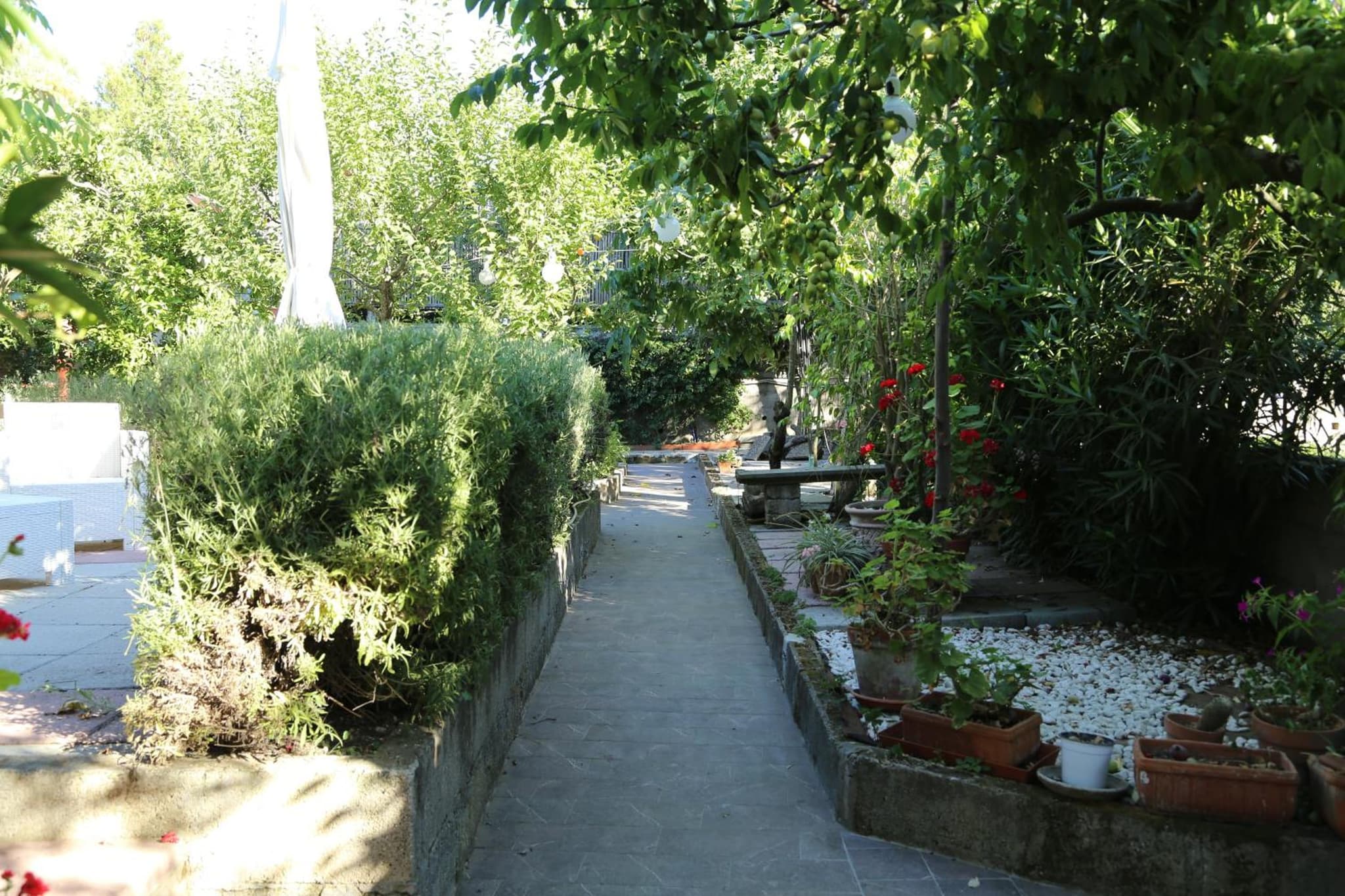 B&B Villa Gemini photo 2