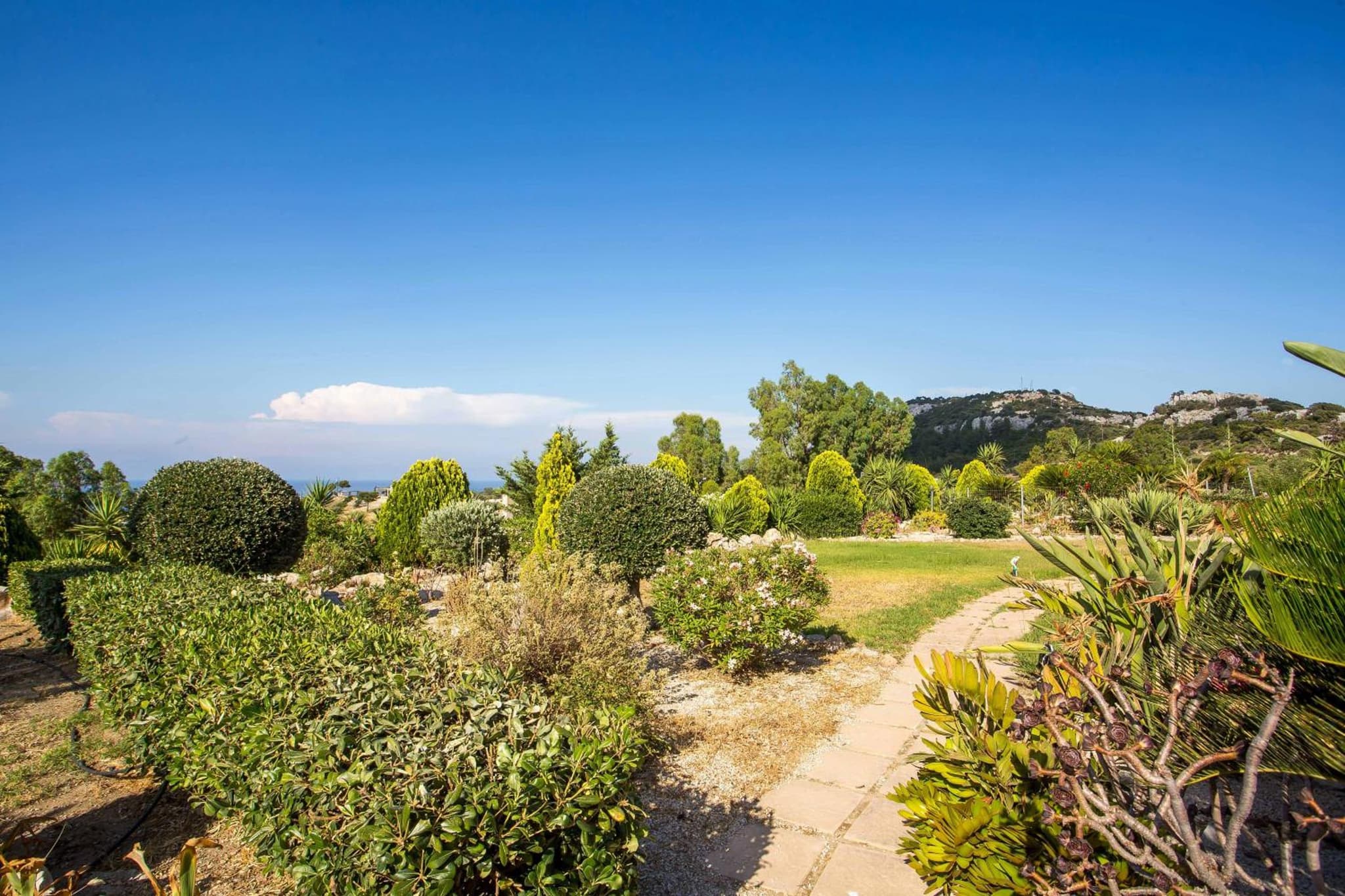 AGGELOS GARDEN VIEW photo 6