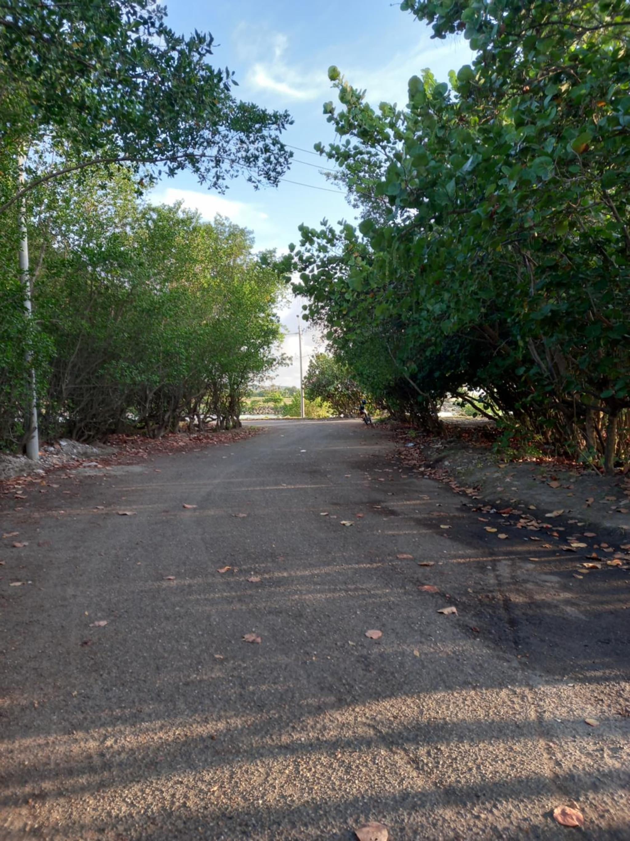 Hotel SEREMA photo 6