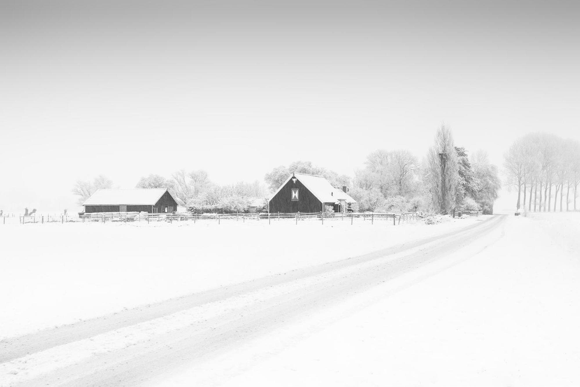 Het Zoete Pèèrd photo 9