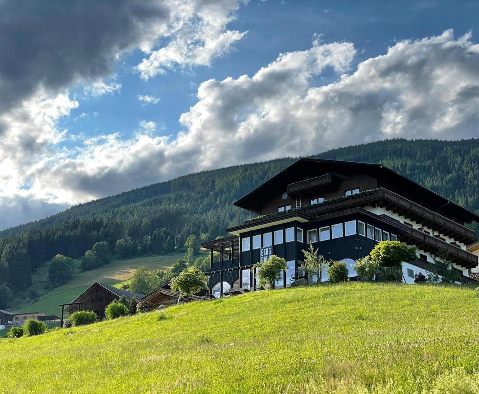 BergBaur photo 3