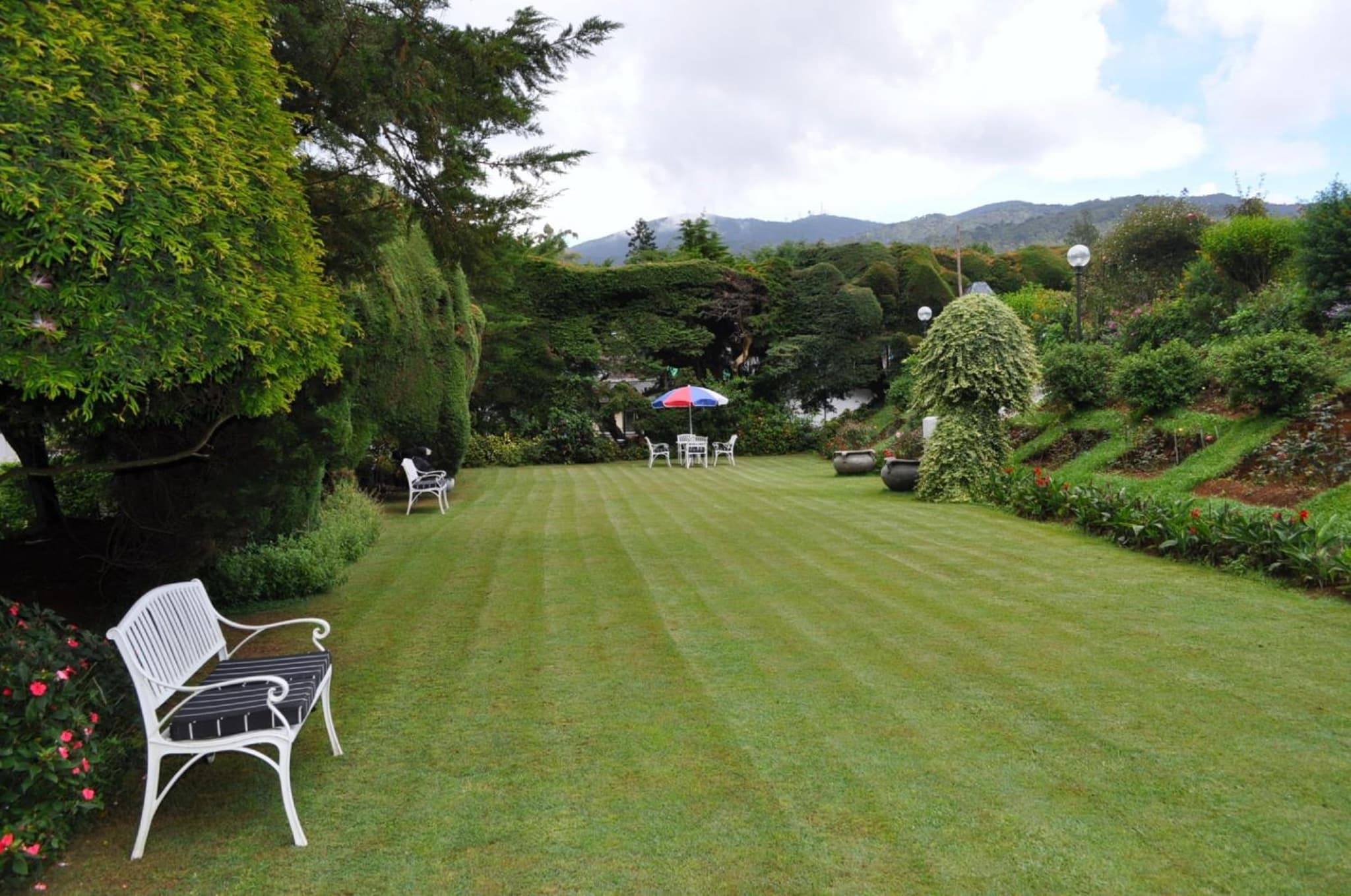 Royal Cocoon - Nuwara Eliya photo 5