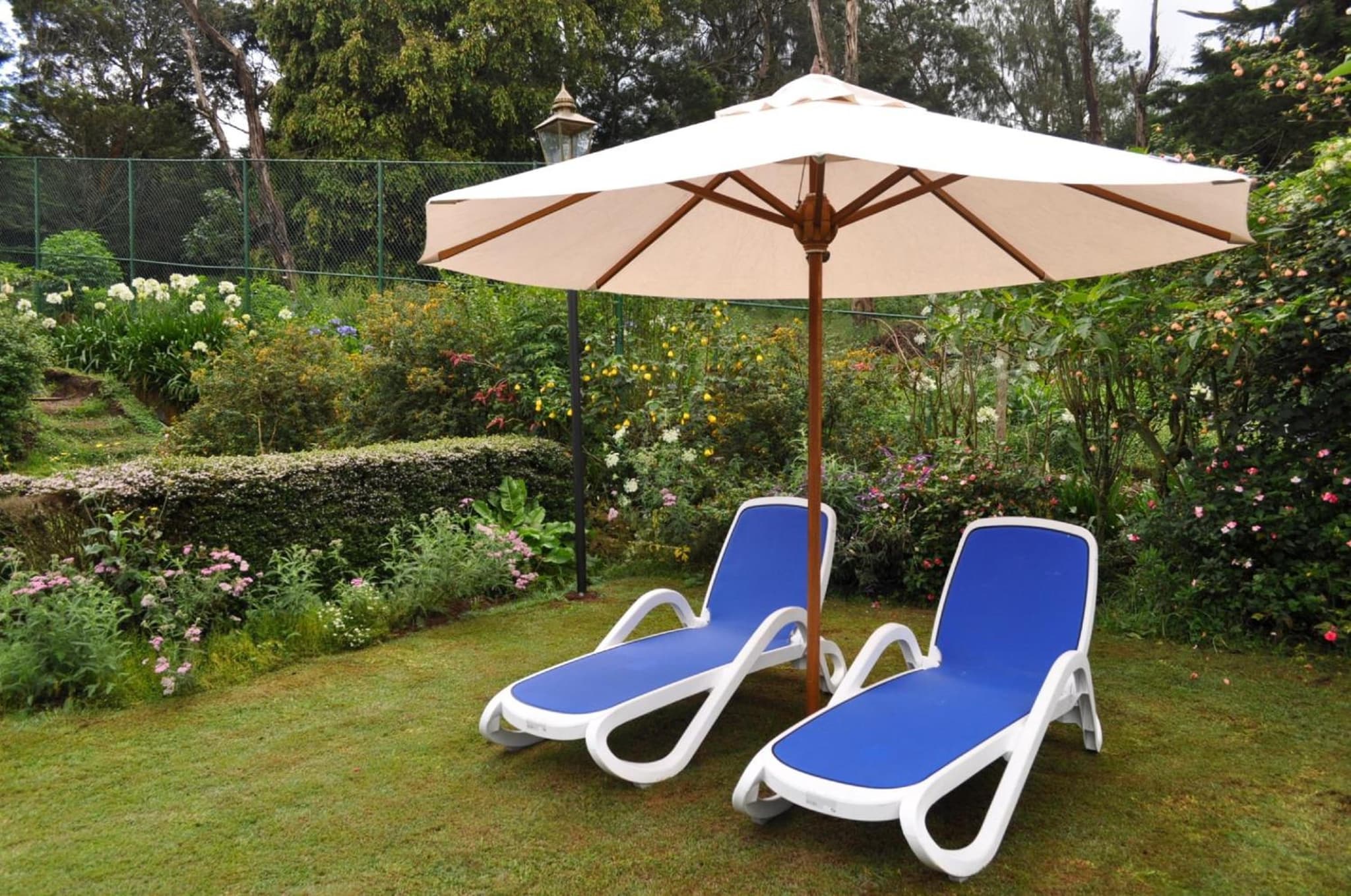 Royal Cocoon - Nuwara Eliya photo 9