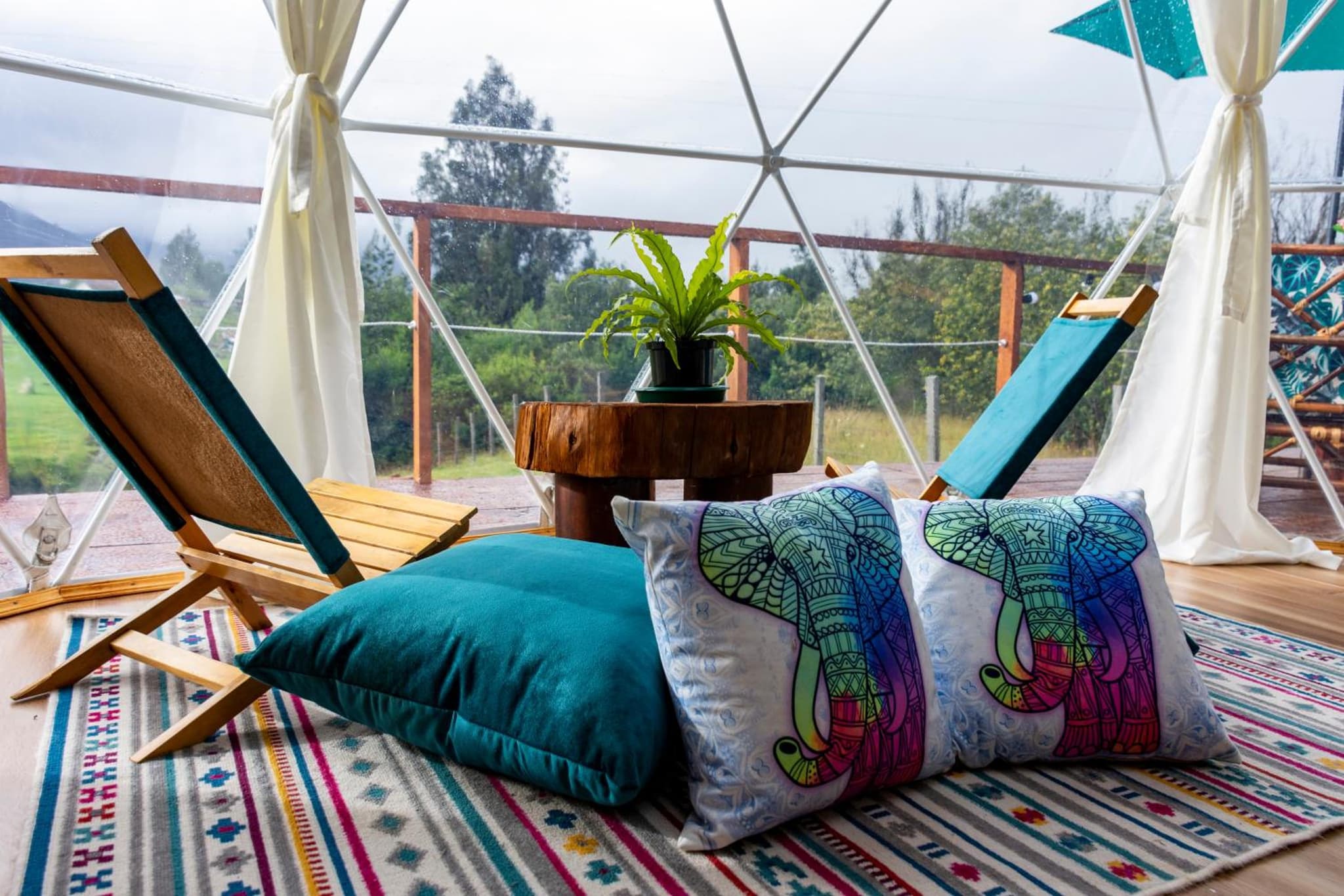 Glamping Claro de Luna photo 8
