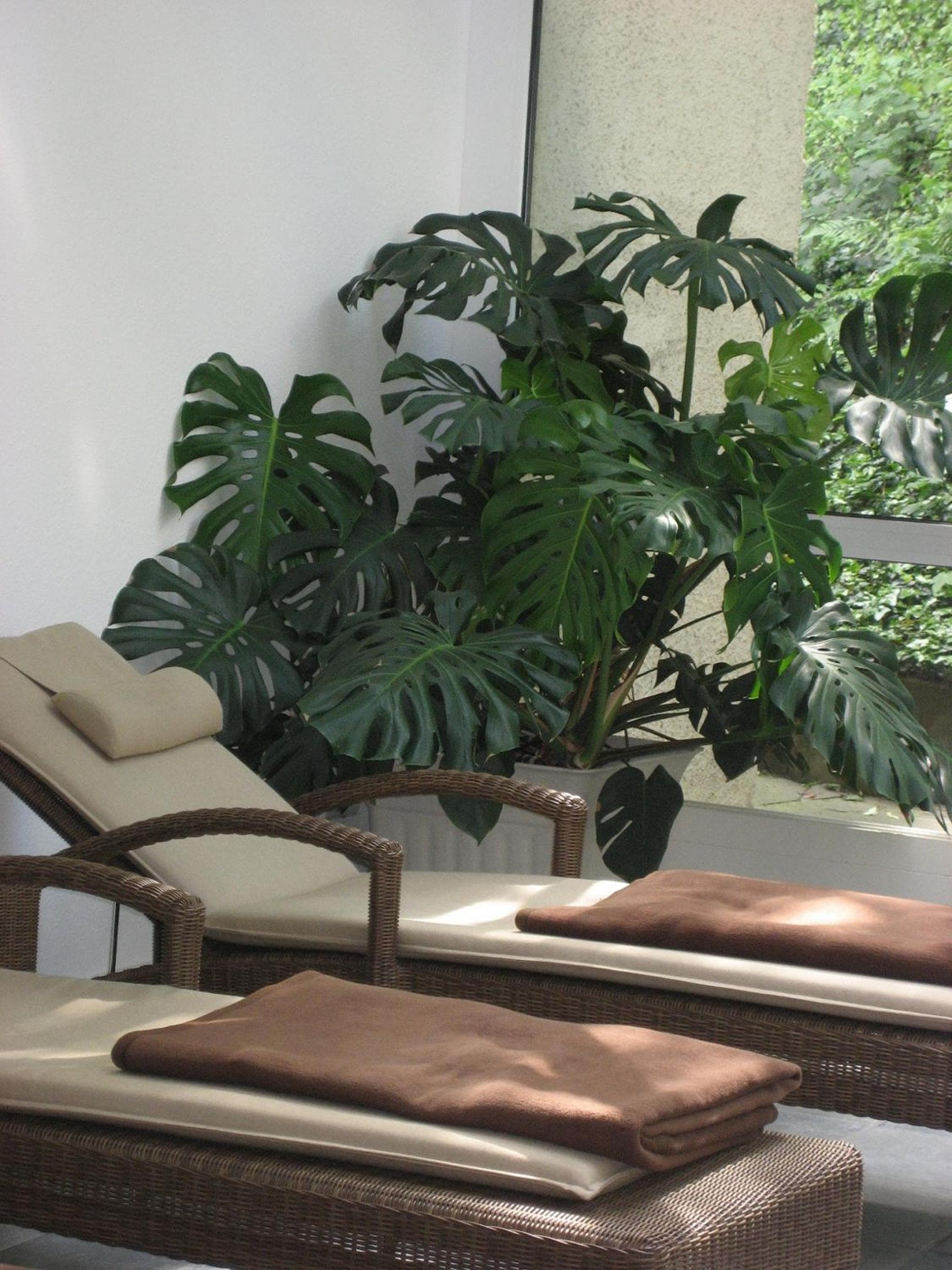 Hotel Anna photo 6
