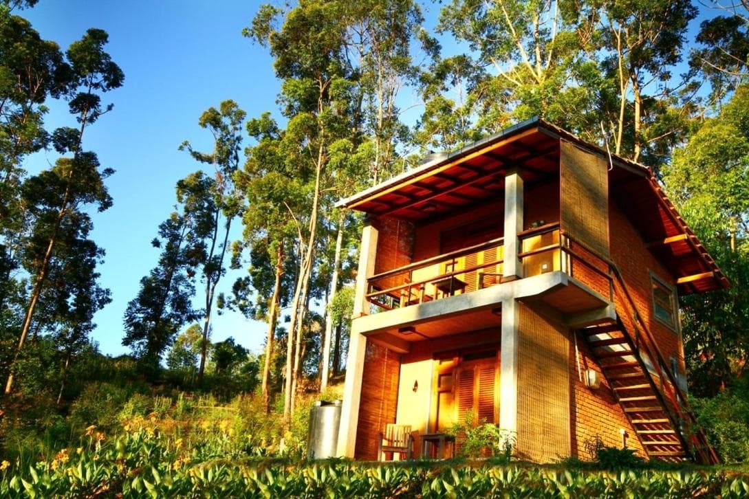 Ella Okreech Cottages photo 9