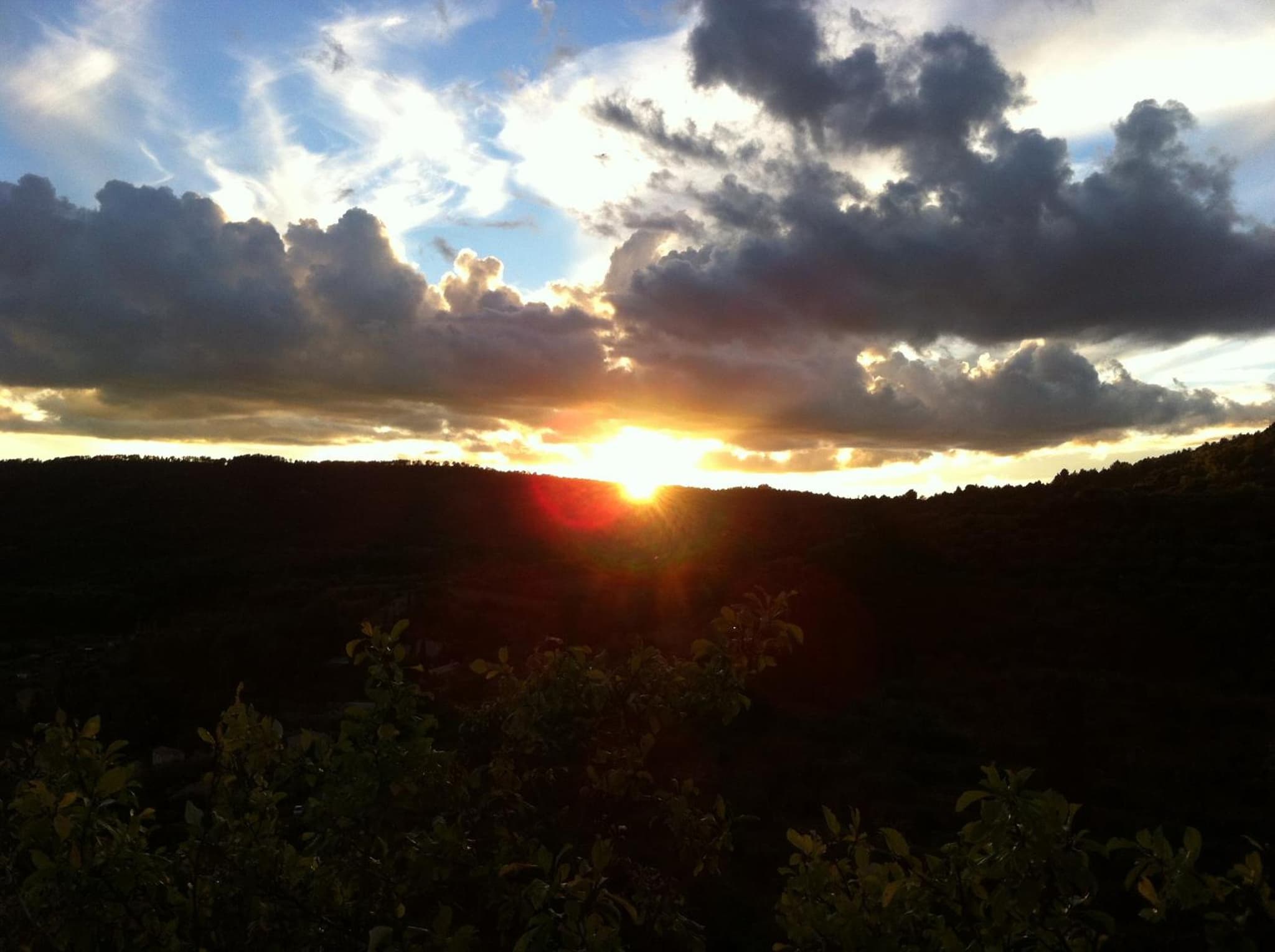 Domaine d'Angouire photo 8