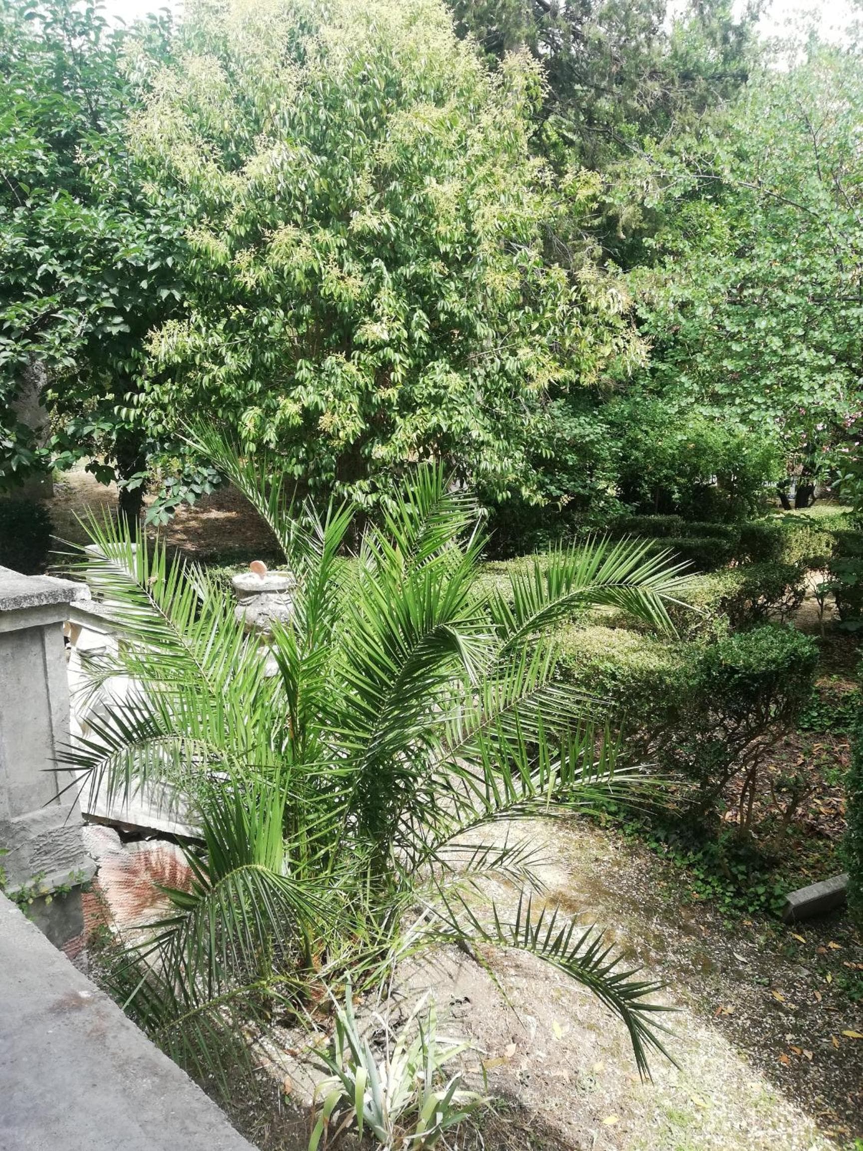 Il giardino di Emilia photo 5