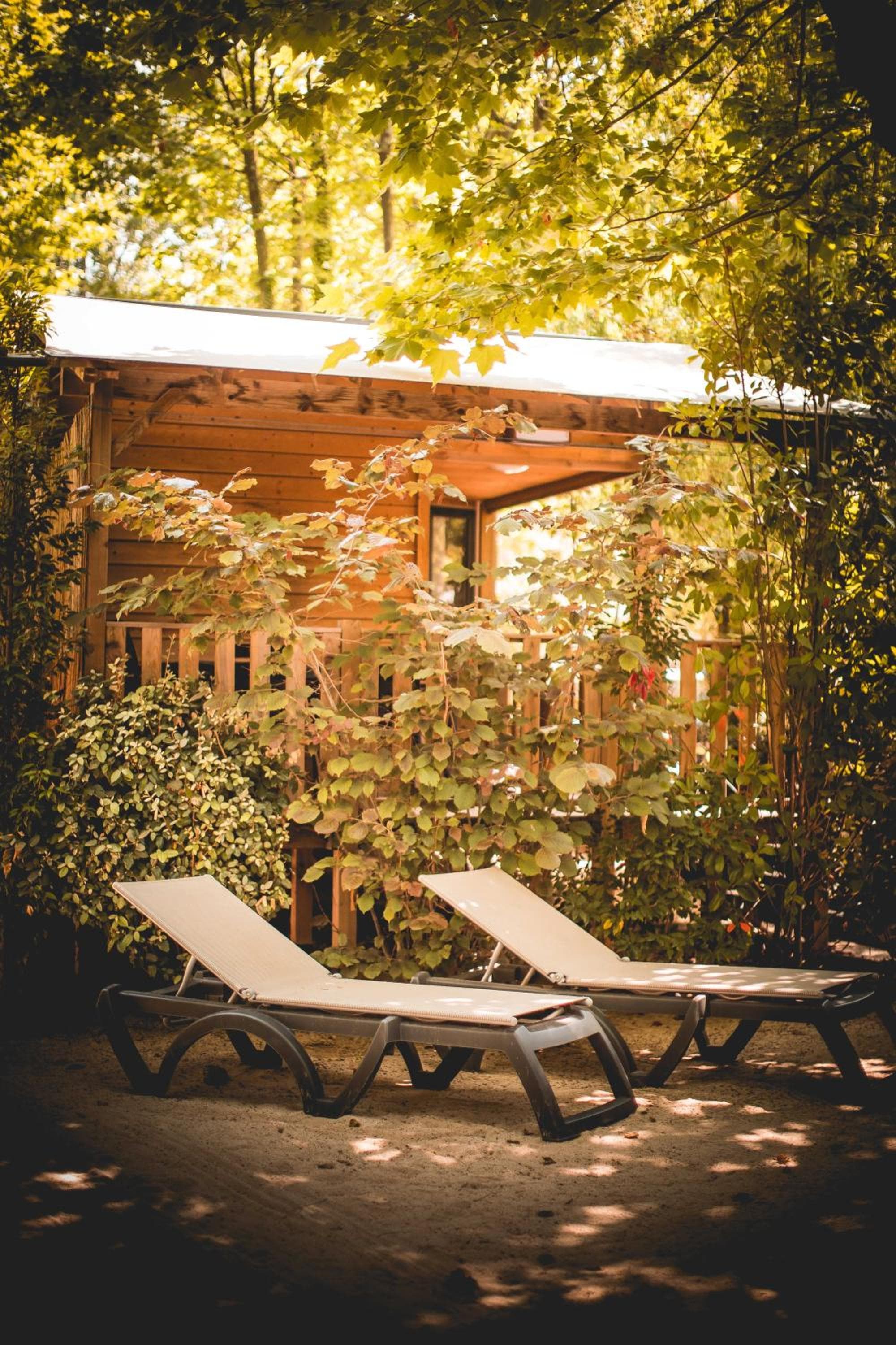 Nova Lodges photo 3