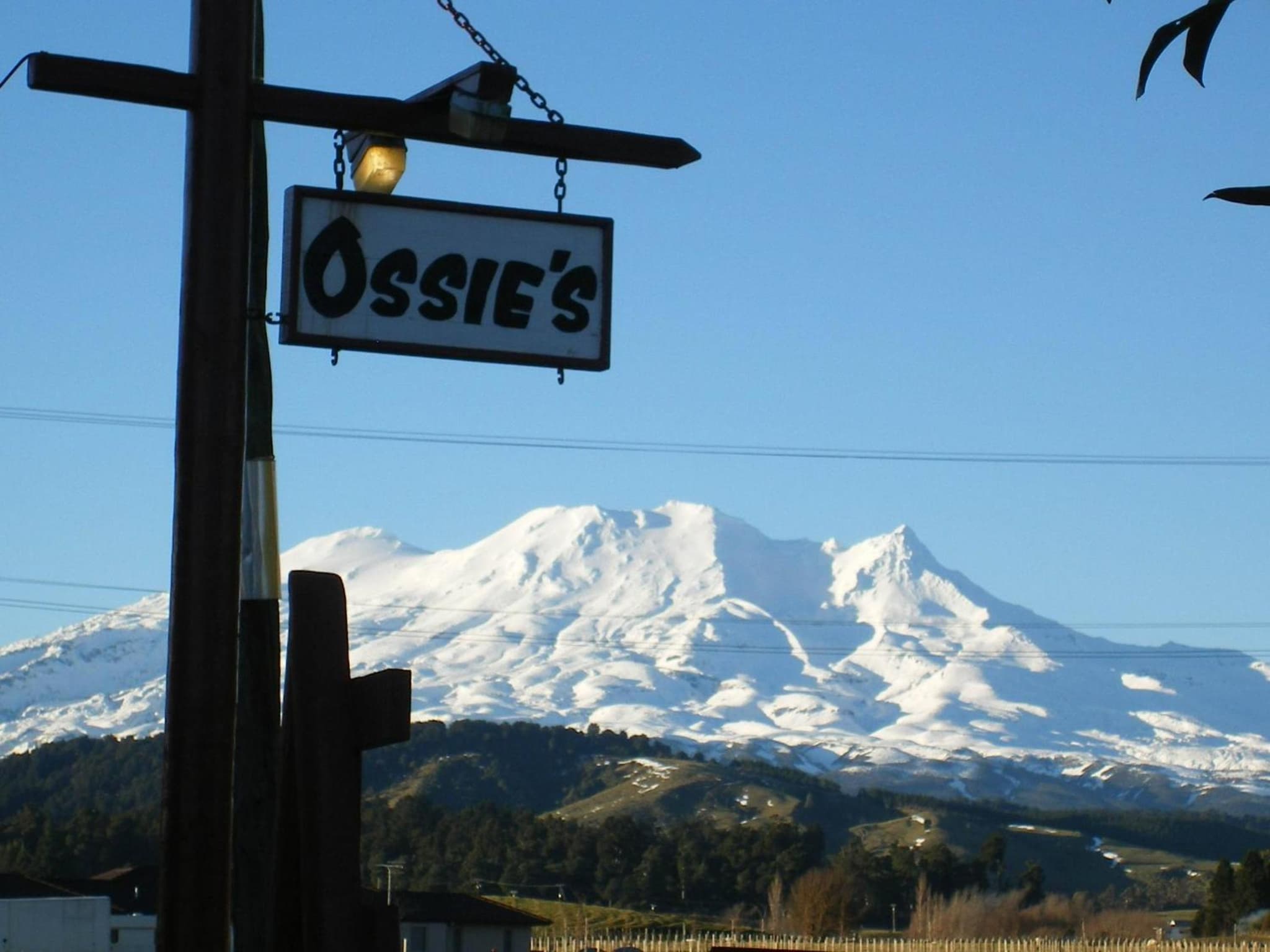 Ossies Motels and Chalets photo 3