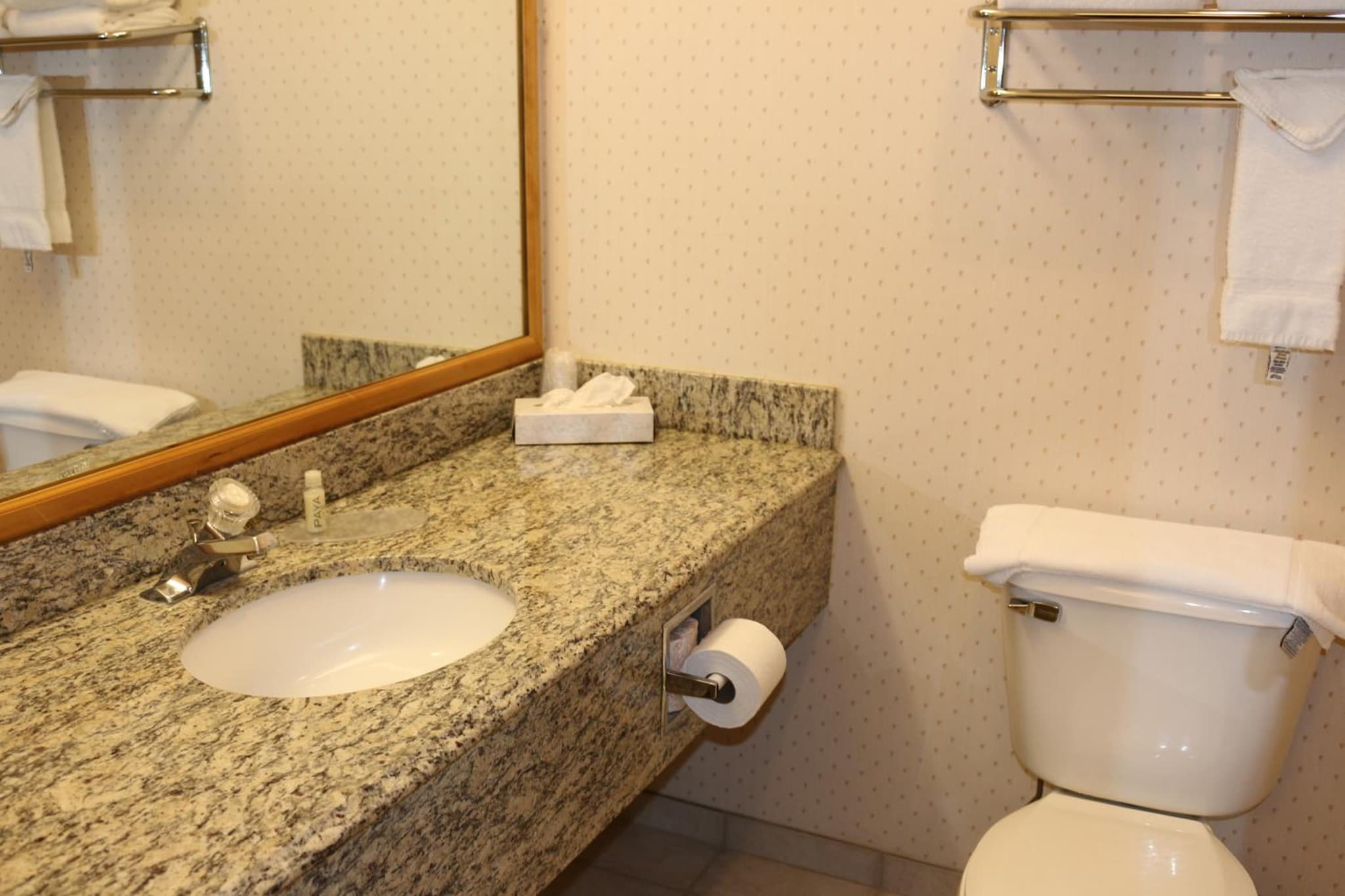 Gray Wolf Inn & Suites photo 4
