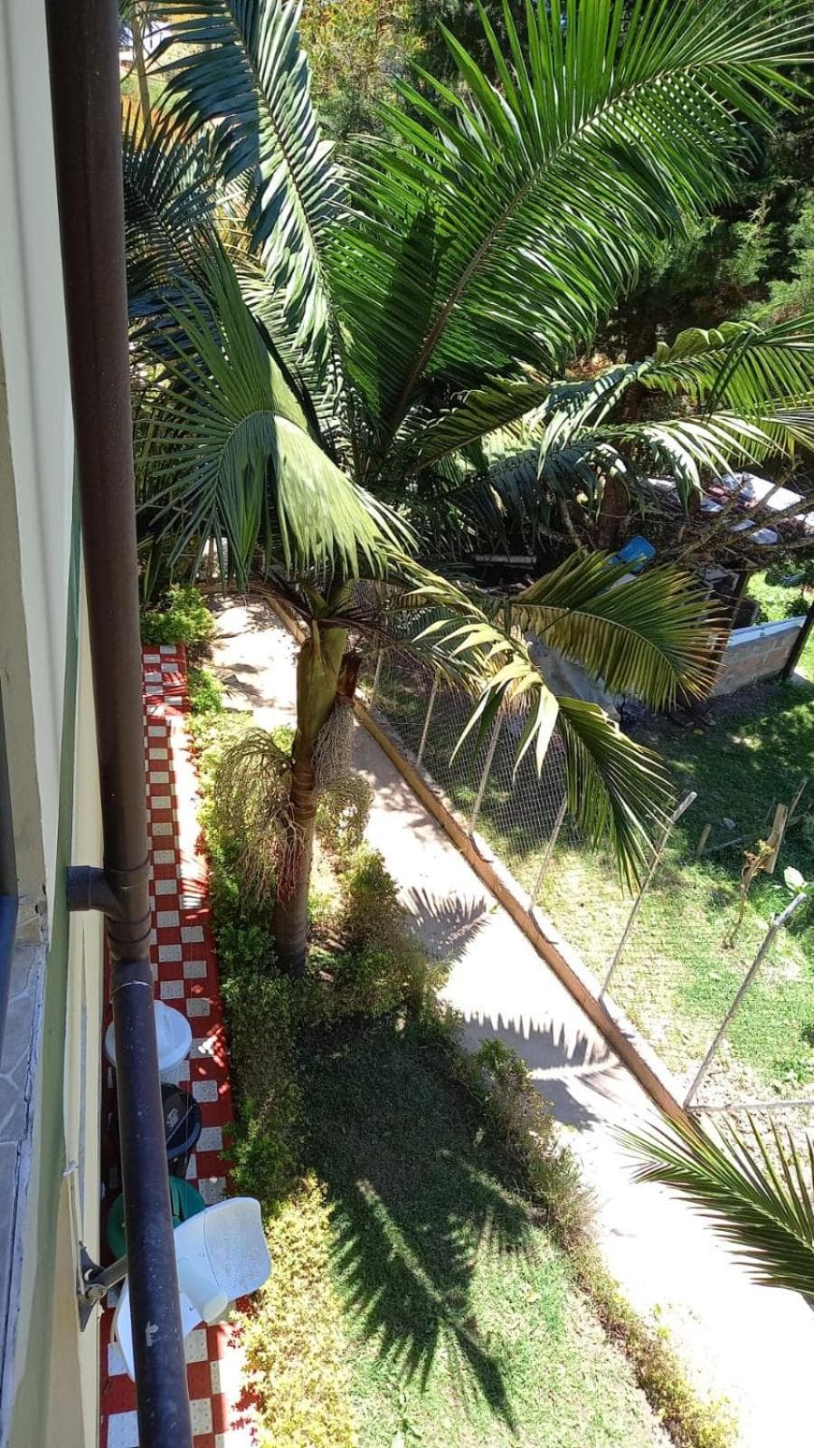 Finca Hotel Zona Franca photo 9