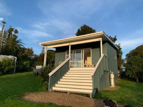 Four Huia photo 2