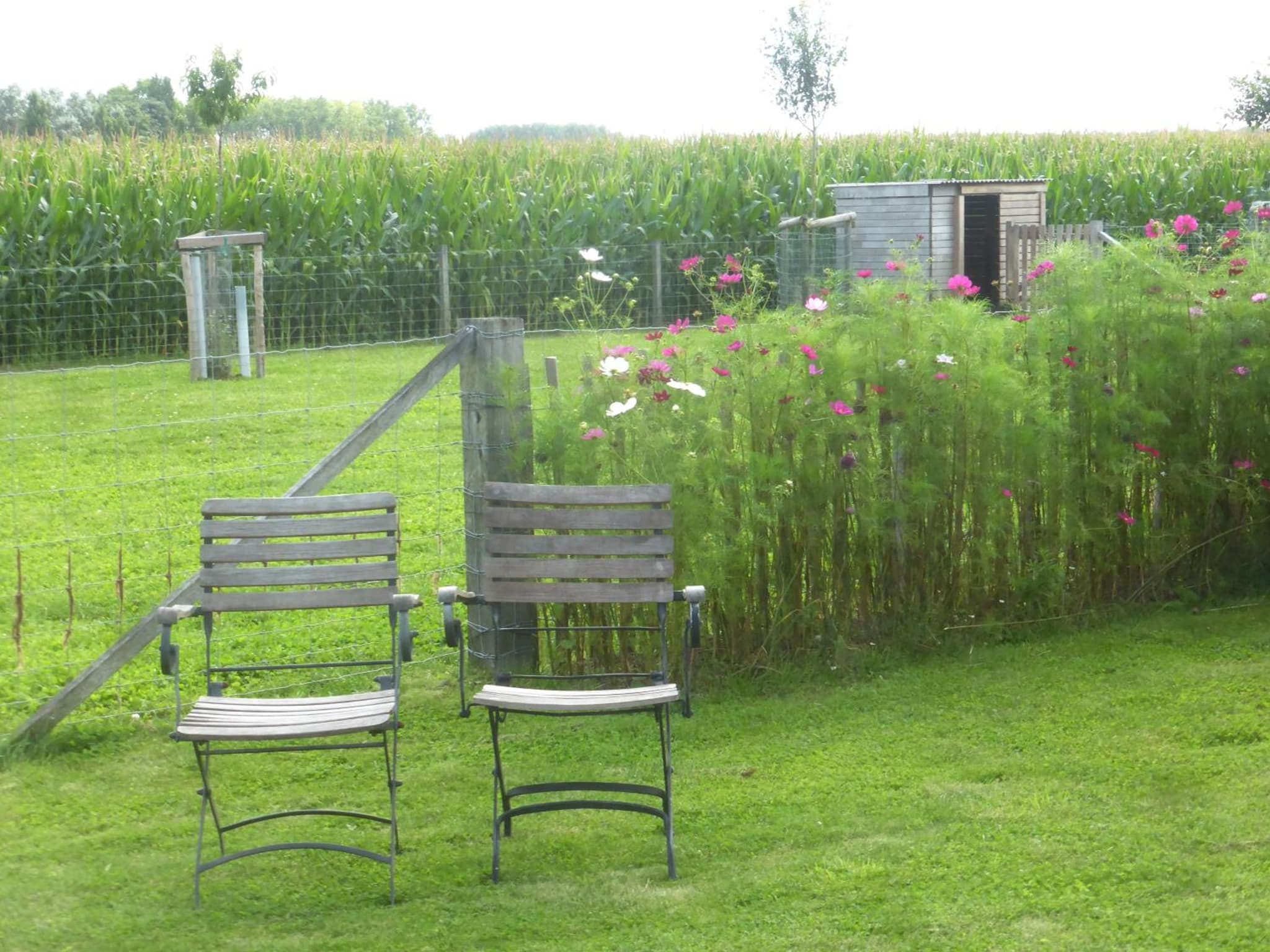 De Zevende Zon photo 2