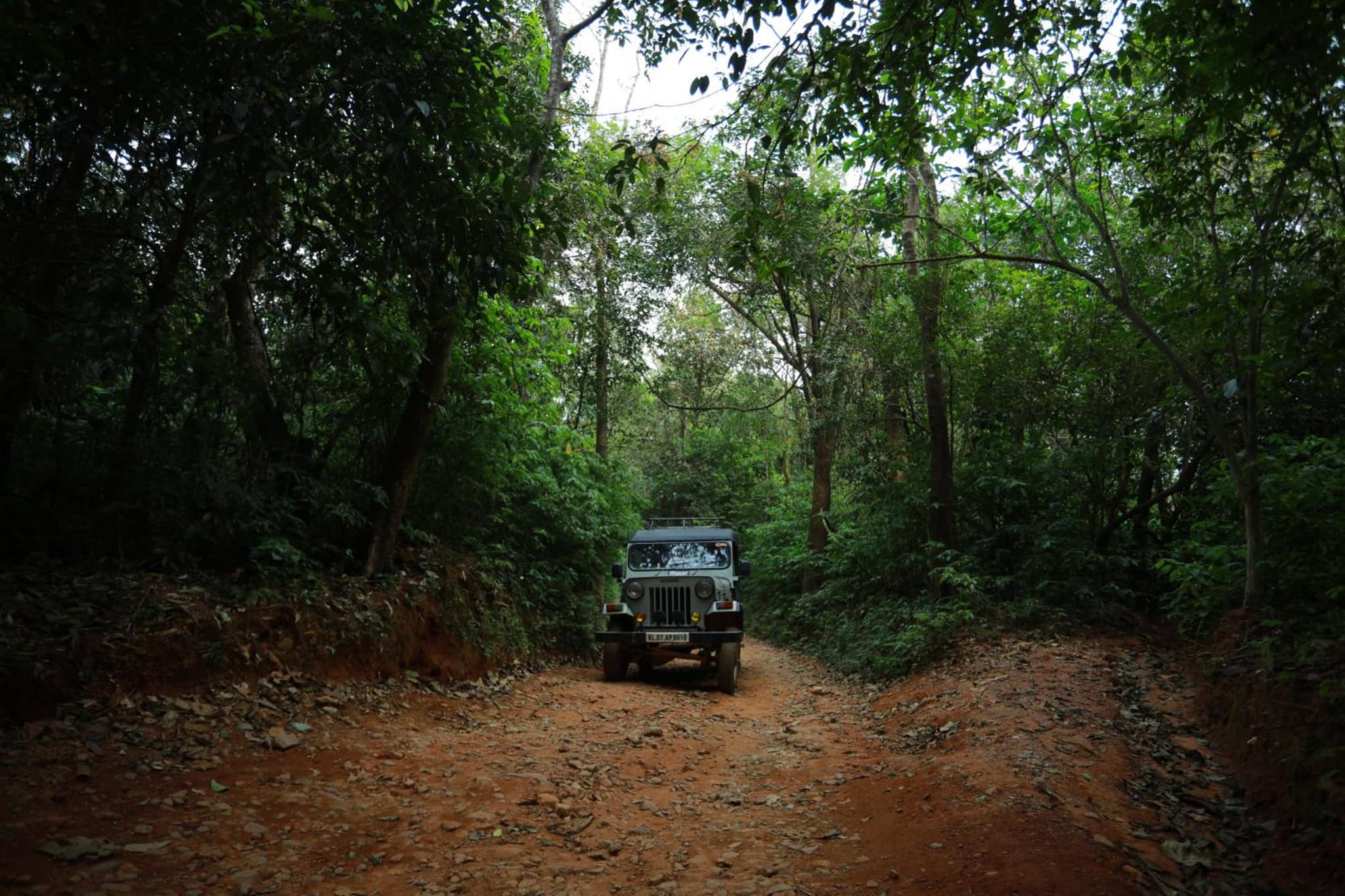 Wayanad Wild - A CGH Earth Experience photo 4