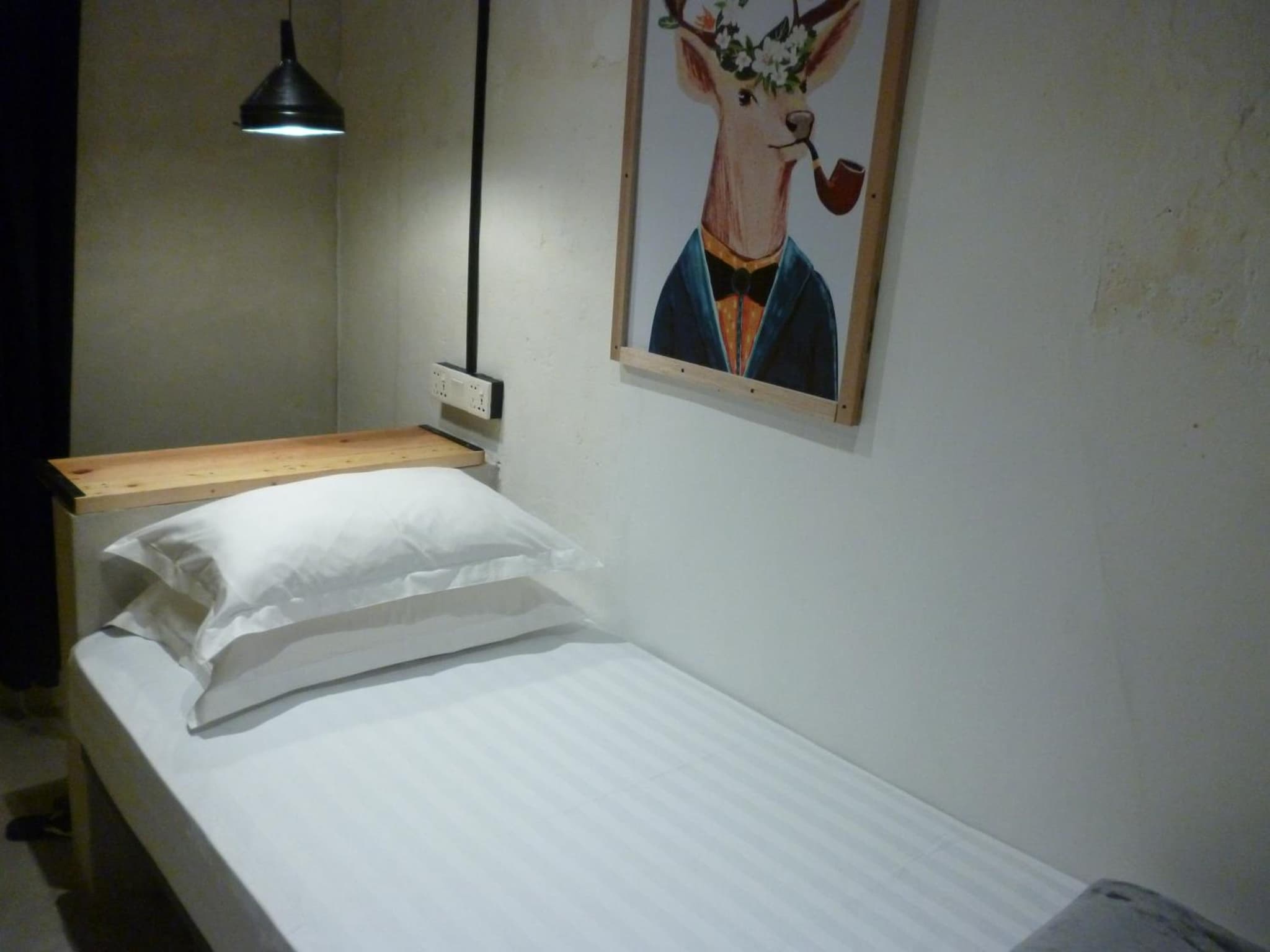 Ola Hostel photo 7