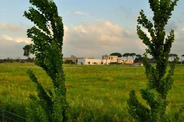 Masseria Stellato photo 3